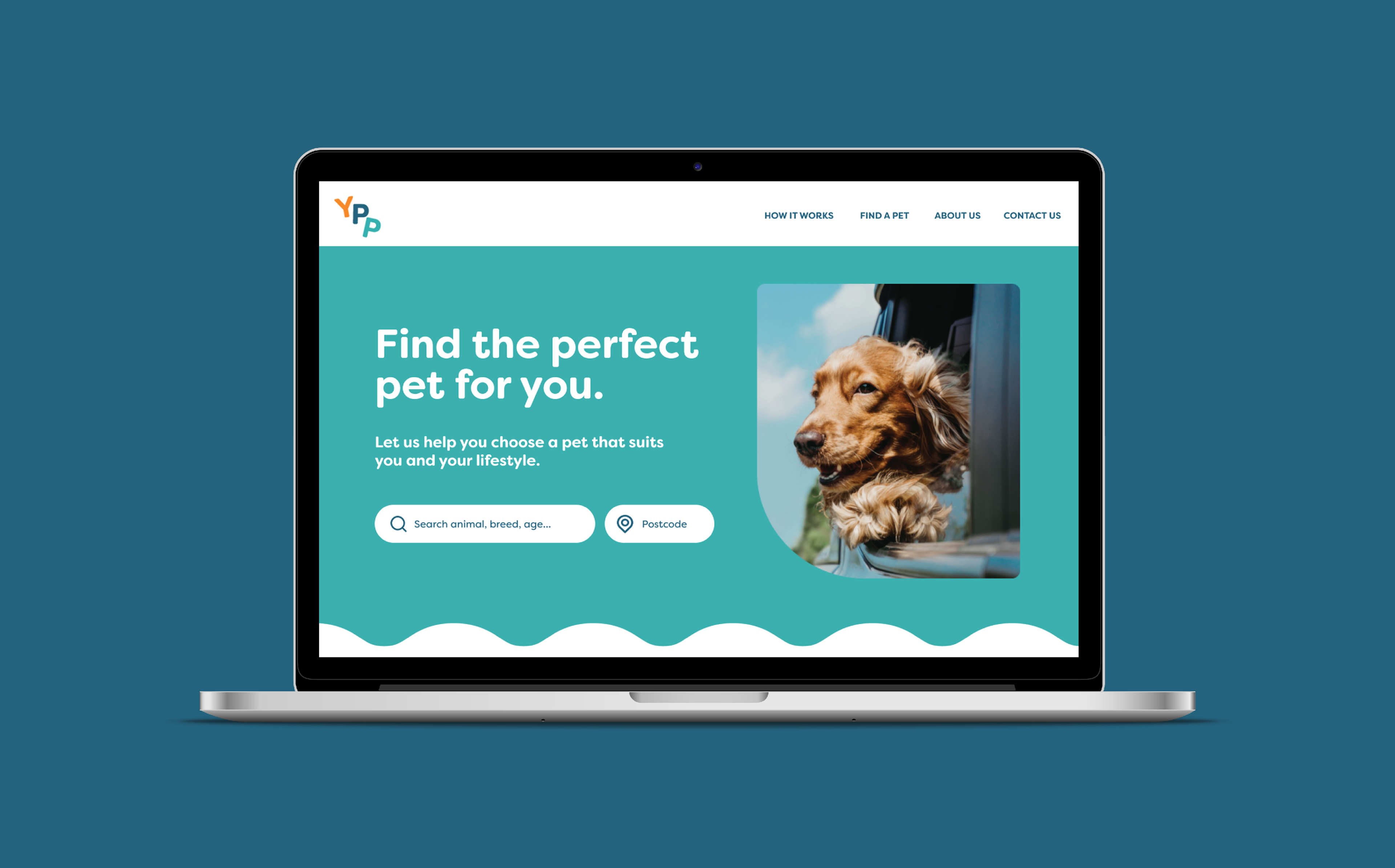 Find your hot sale perfect pet