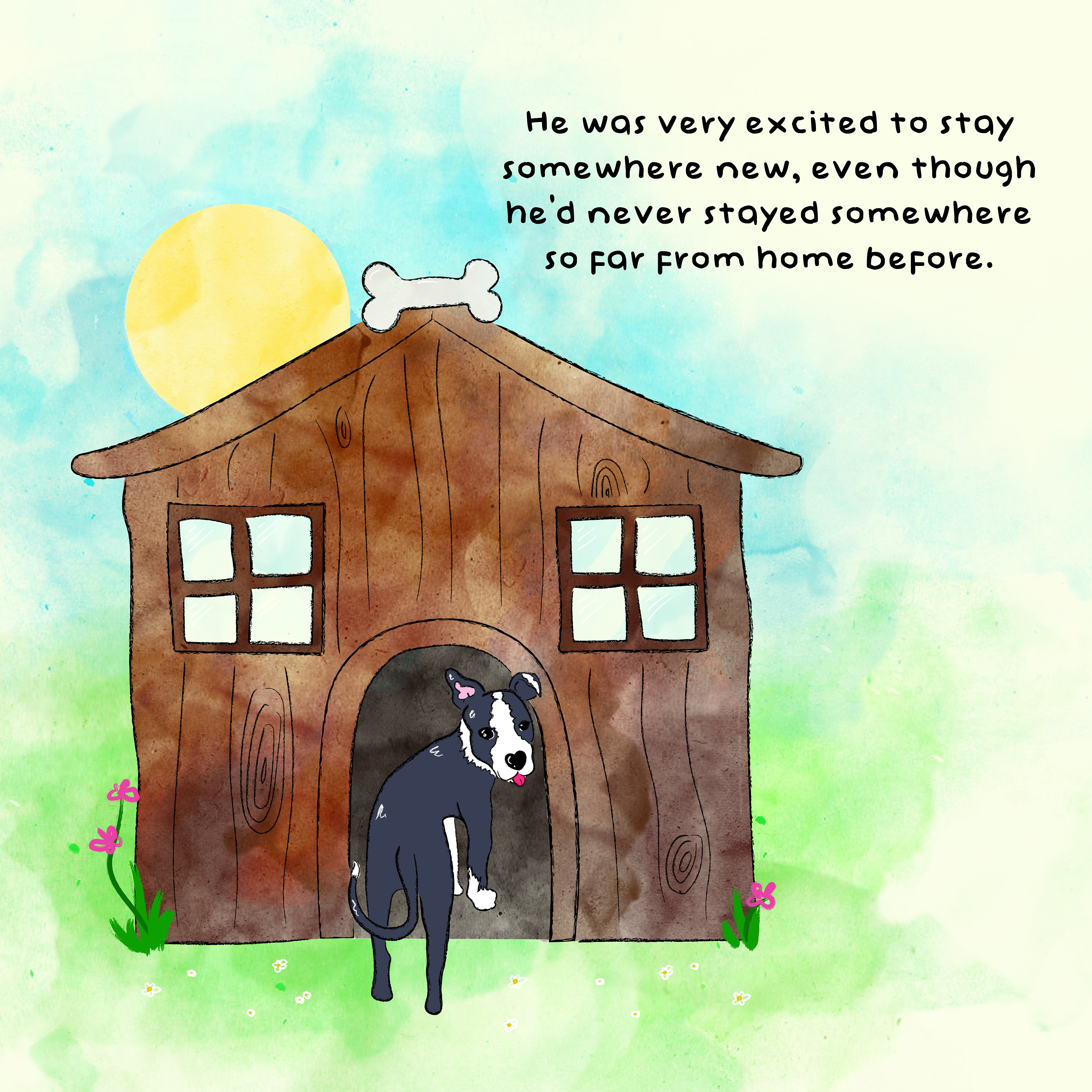 Children's Book Illustration