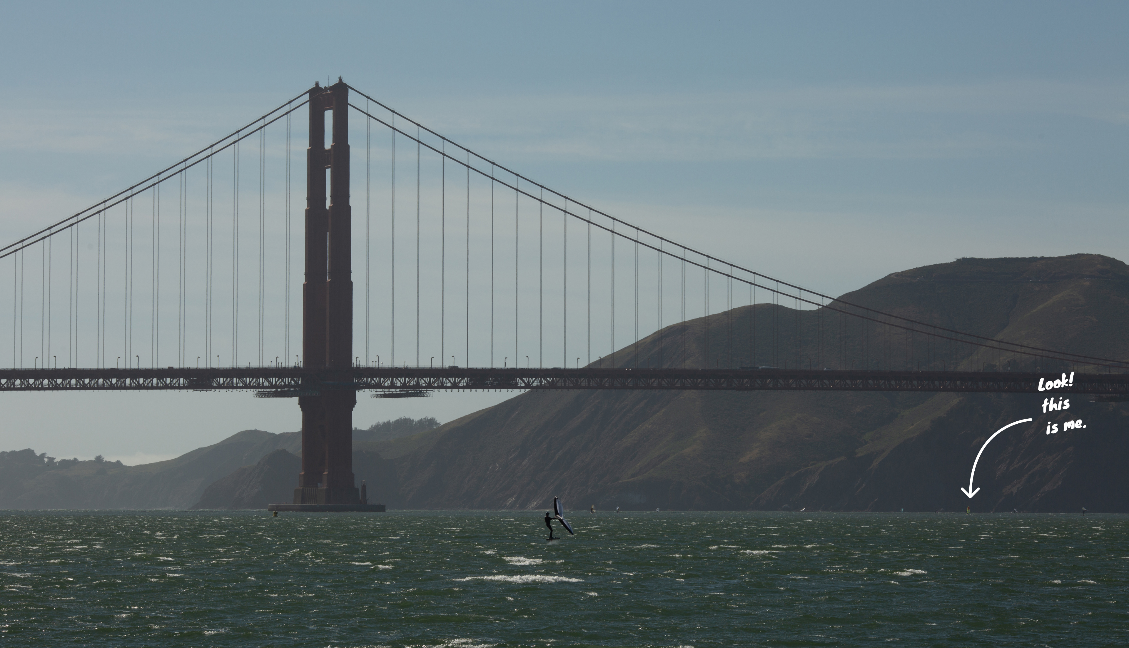 Windsurfing with dolphins in San Francisco