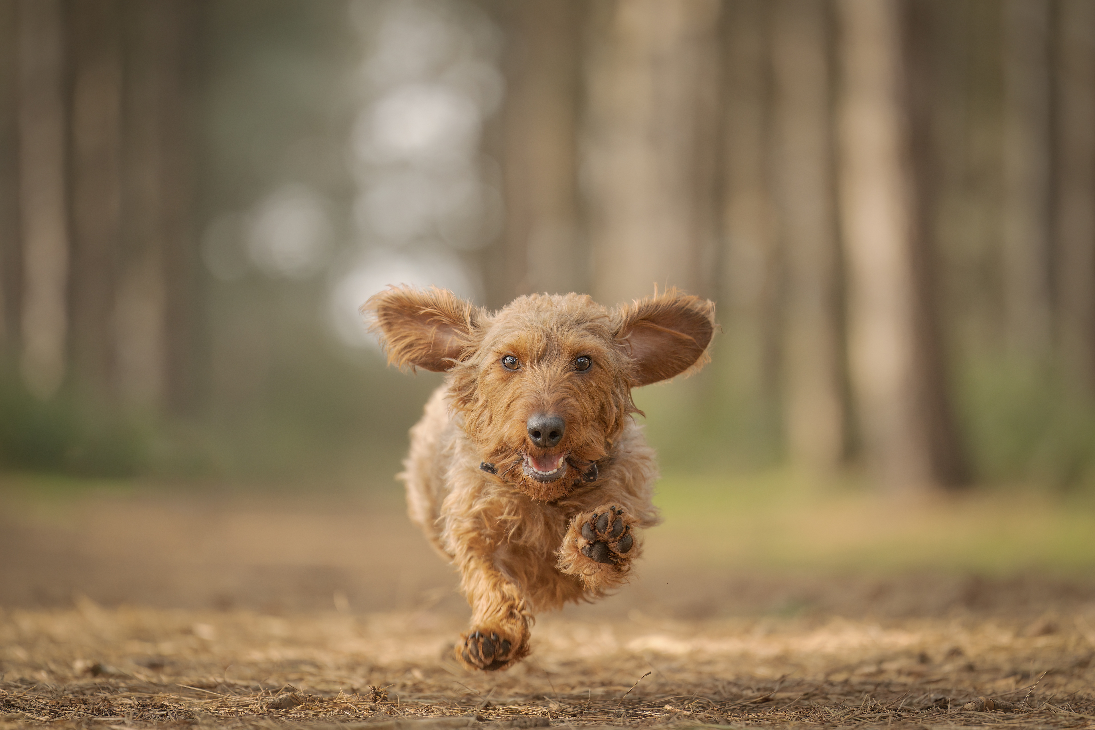 quick booking enquiry questions arrange photoshoot dates pay payment times day