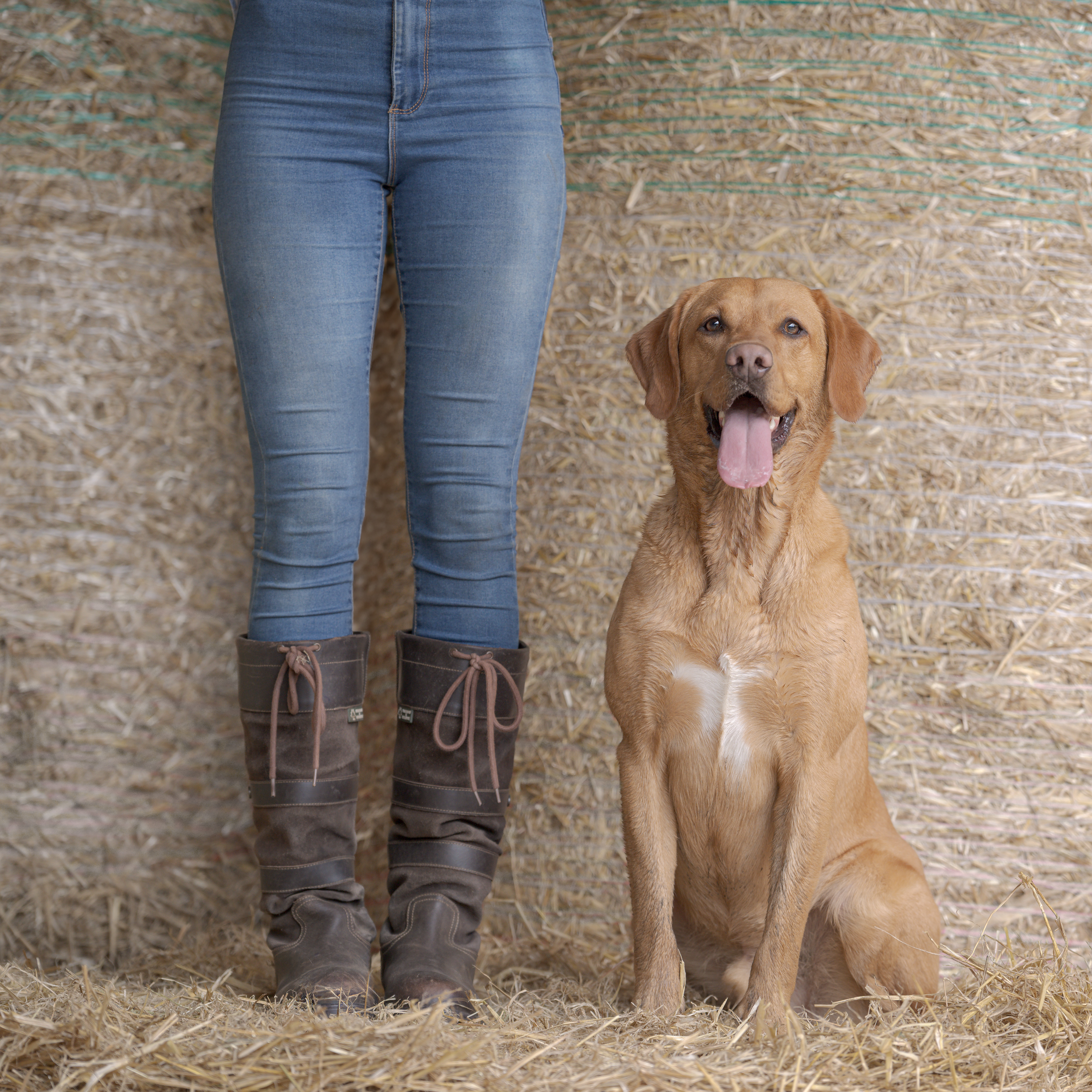 happy dog family legs farm hay contact portrait photograph