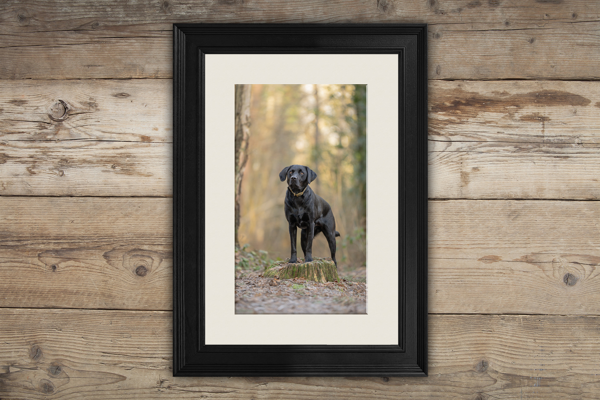 fine art photo frame