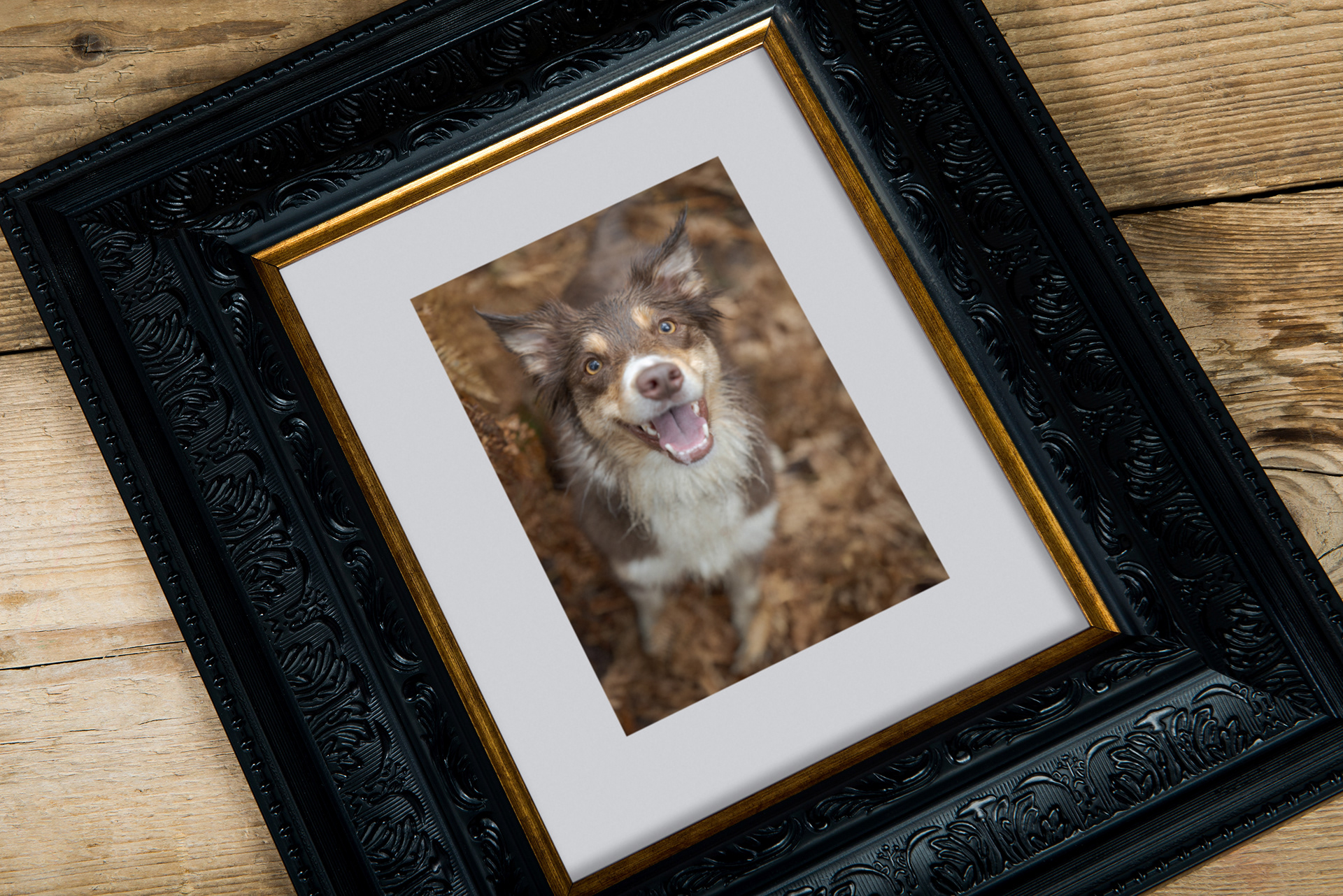 elegant picture frame