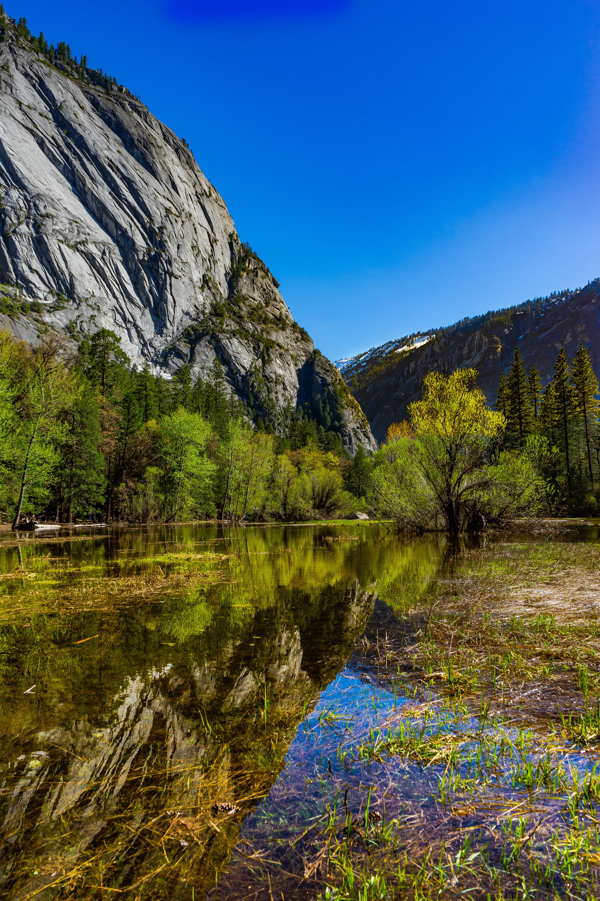 Yosemite