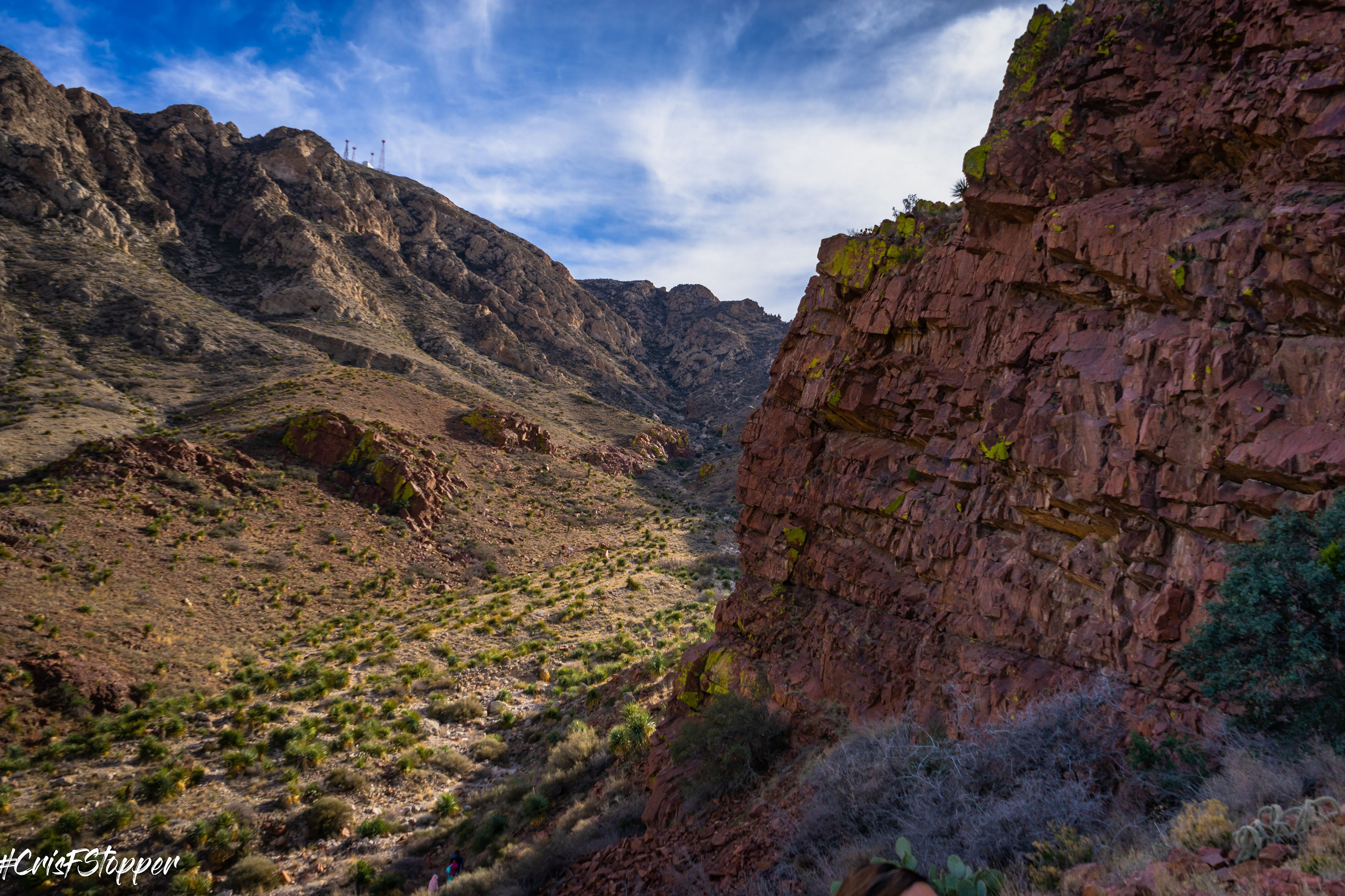 Franklin Mountains