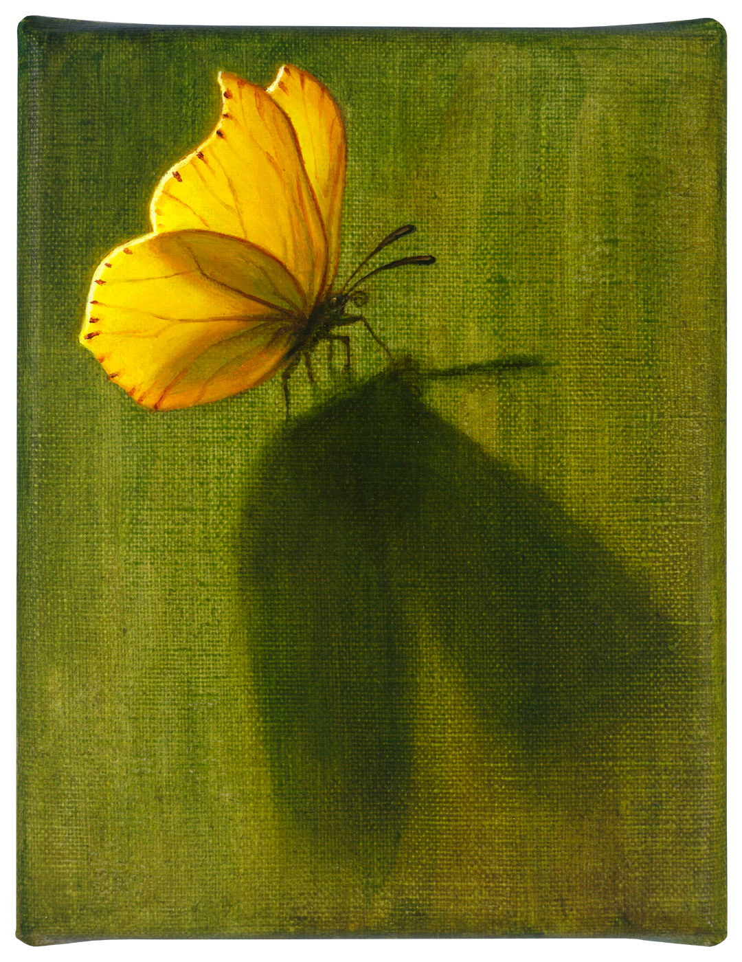 Manicis IV · Umbra, Robbin Veldman, 2025, 18 × 14 cm, oil on canvas,