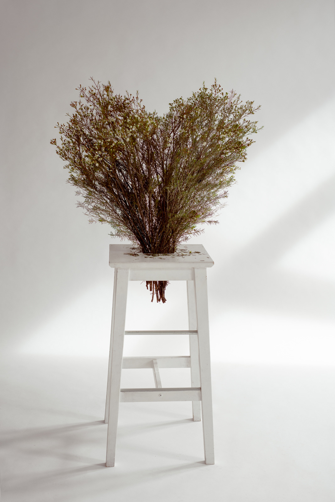 Still life of botanical arrangement in white vase – Joanna Kustra fine art floral photography
