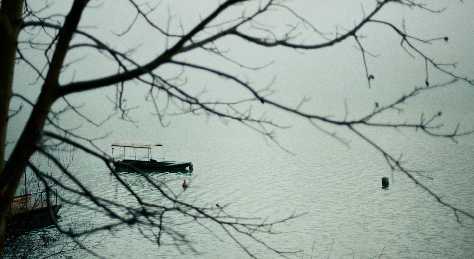 National Park Tara - Canon A-1 | Fijufilm 200 | 2023