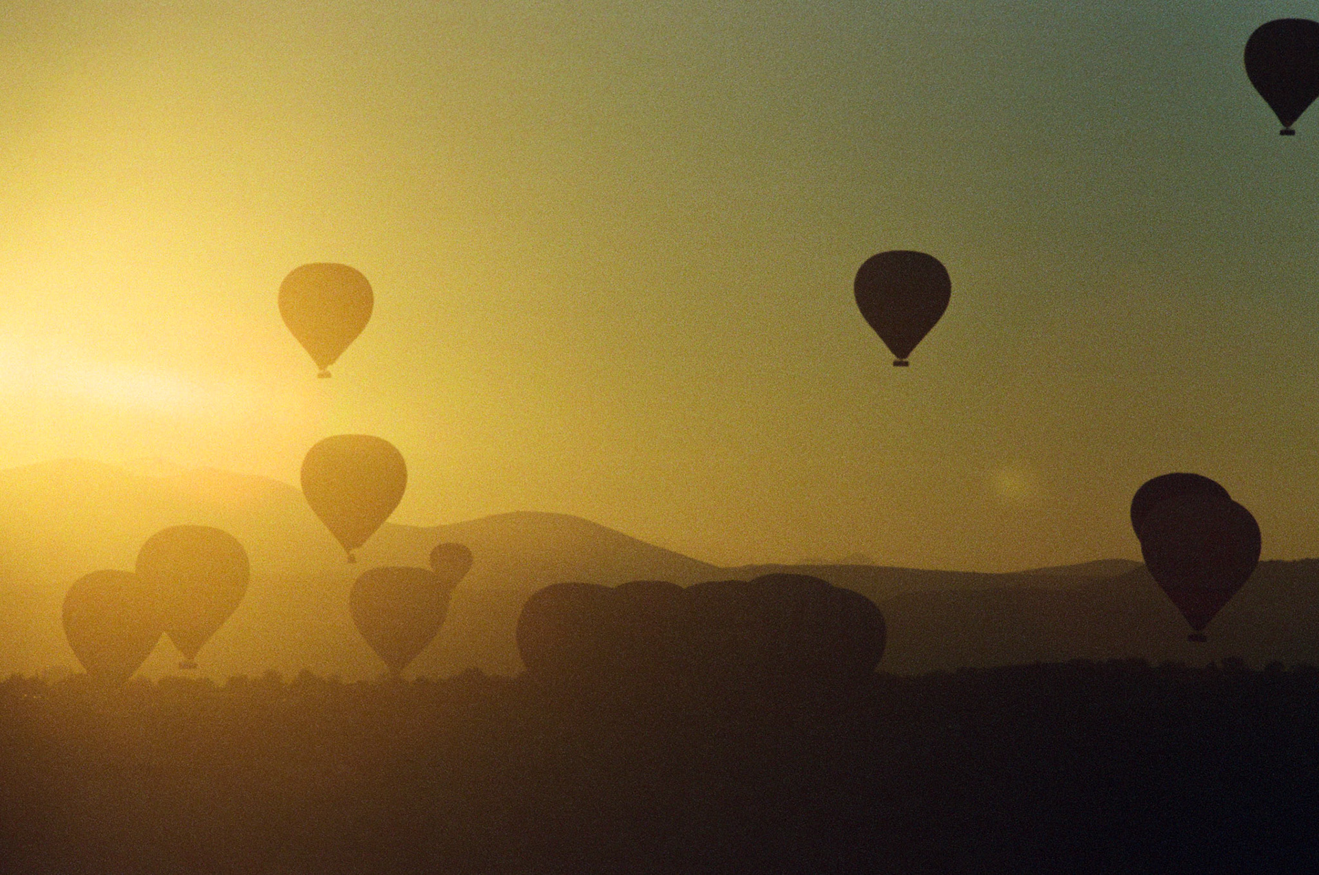 Kodak Portra 800 | Canon A-1