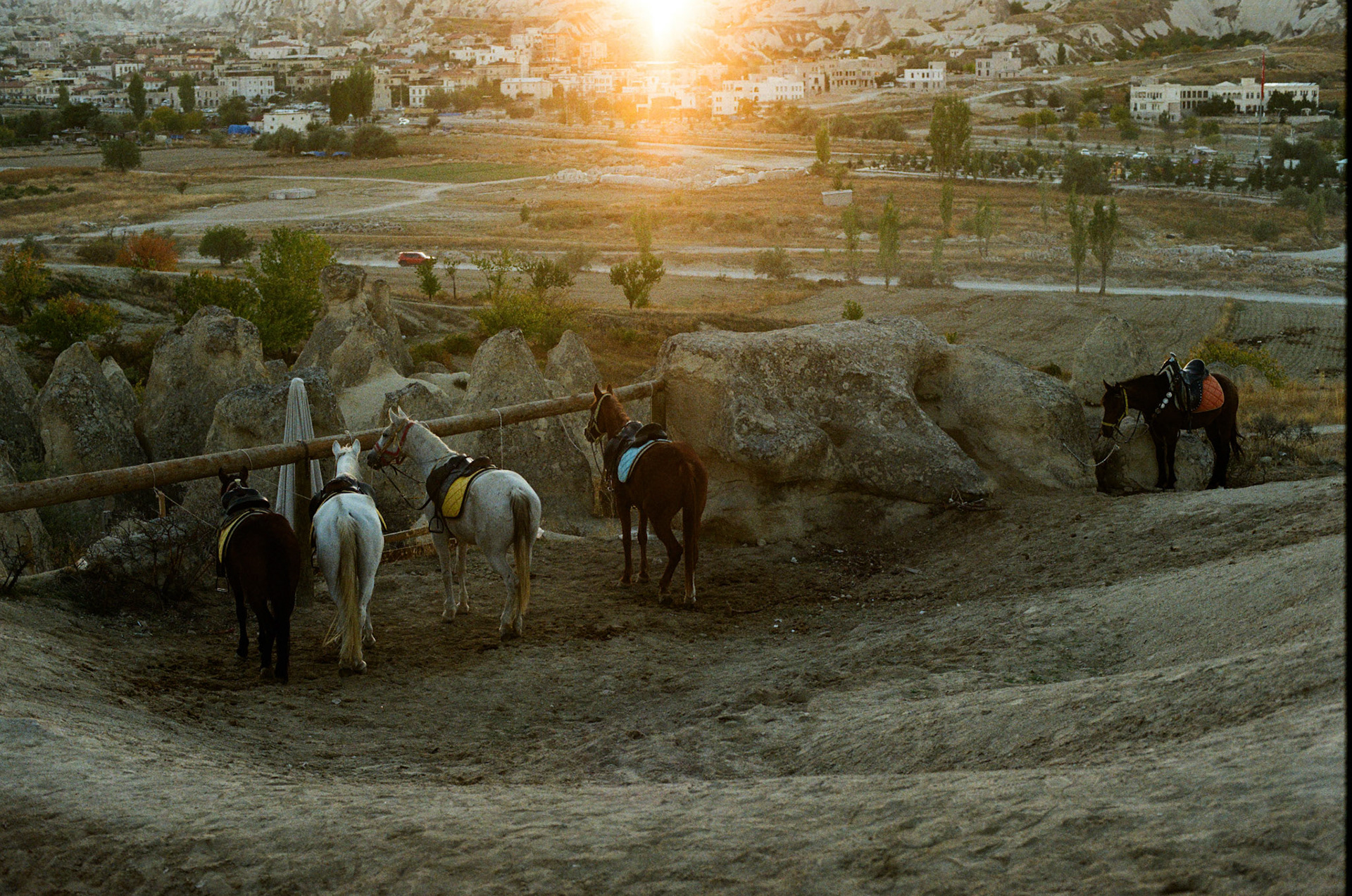 Fujifilm 200 | Canon A-1