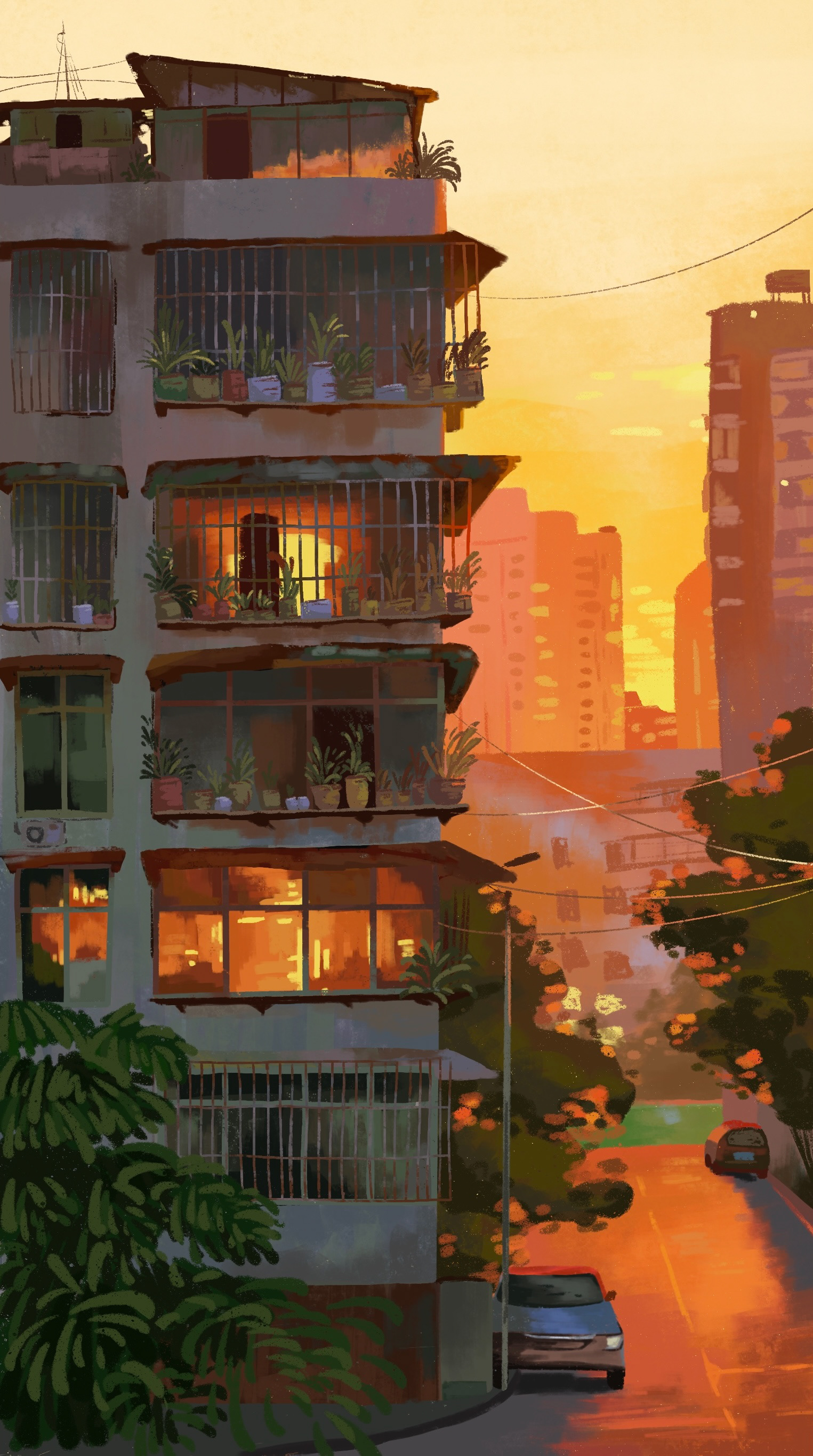 Sunset