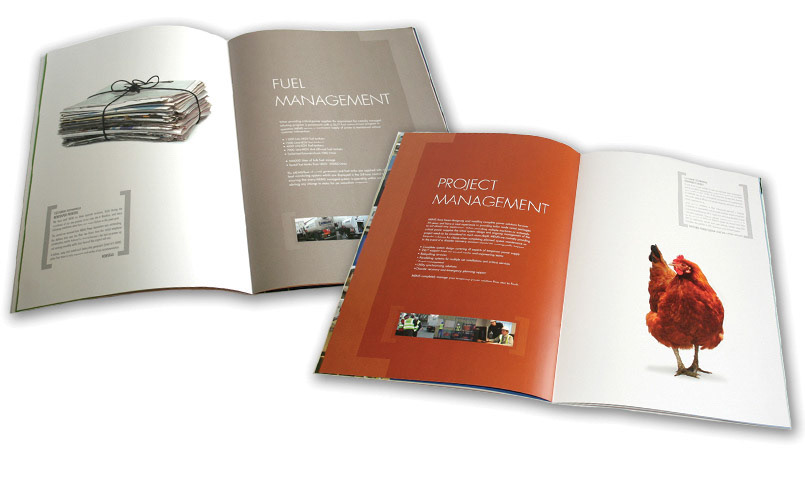 MEMS Promotional Brochure