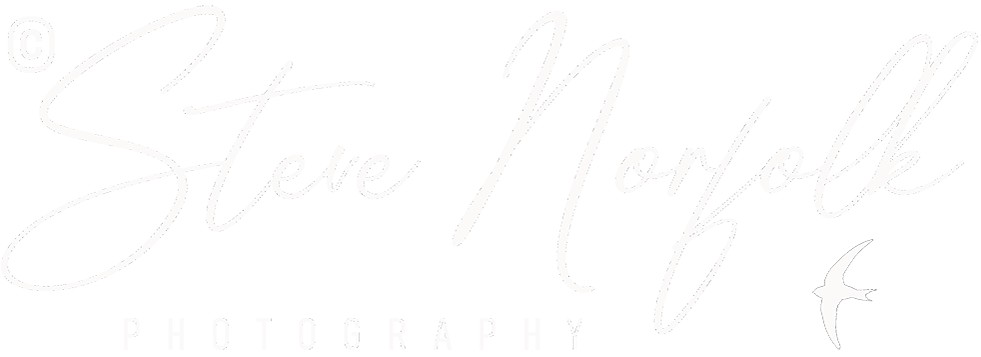 Steven Norfolk