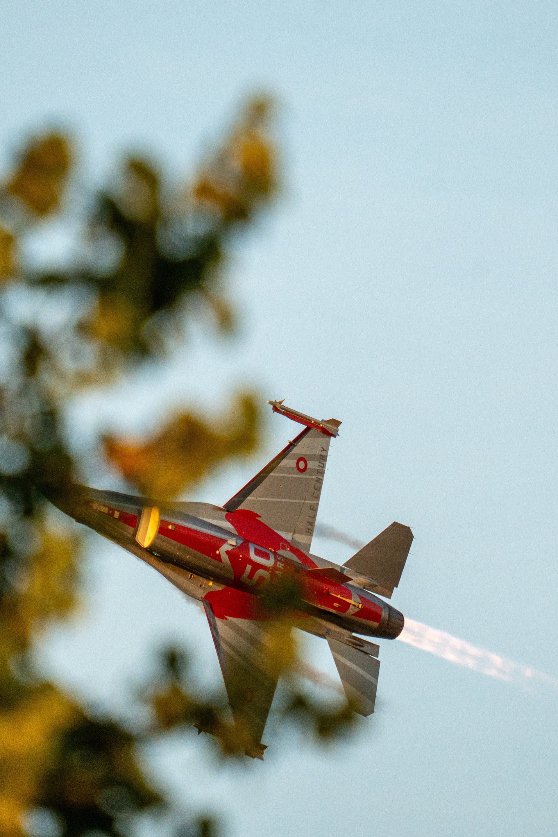 Danish f-16