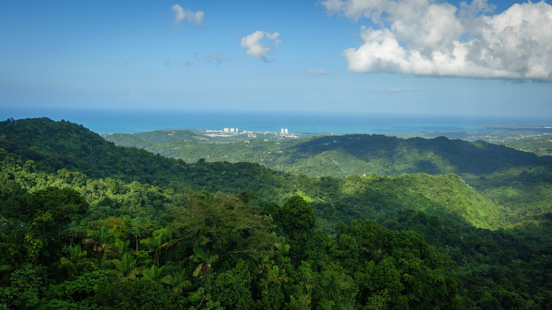 View of Luquillo from Torre Yokahú