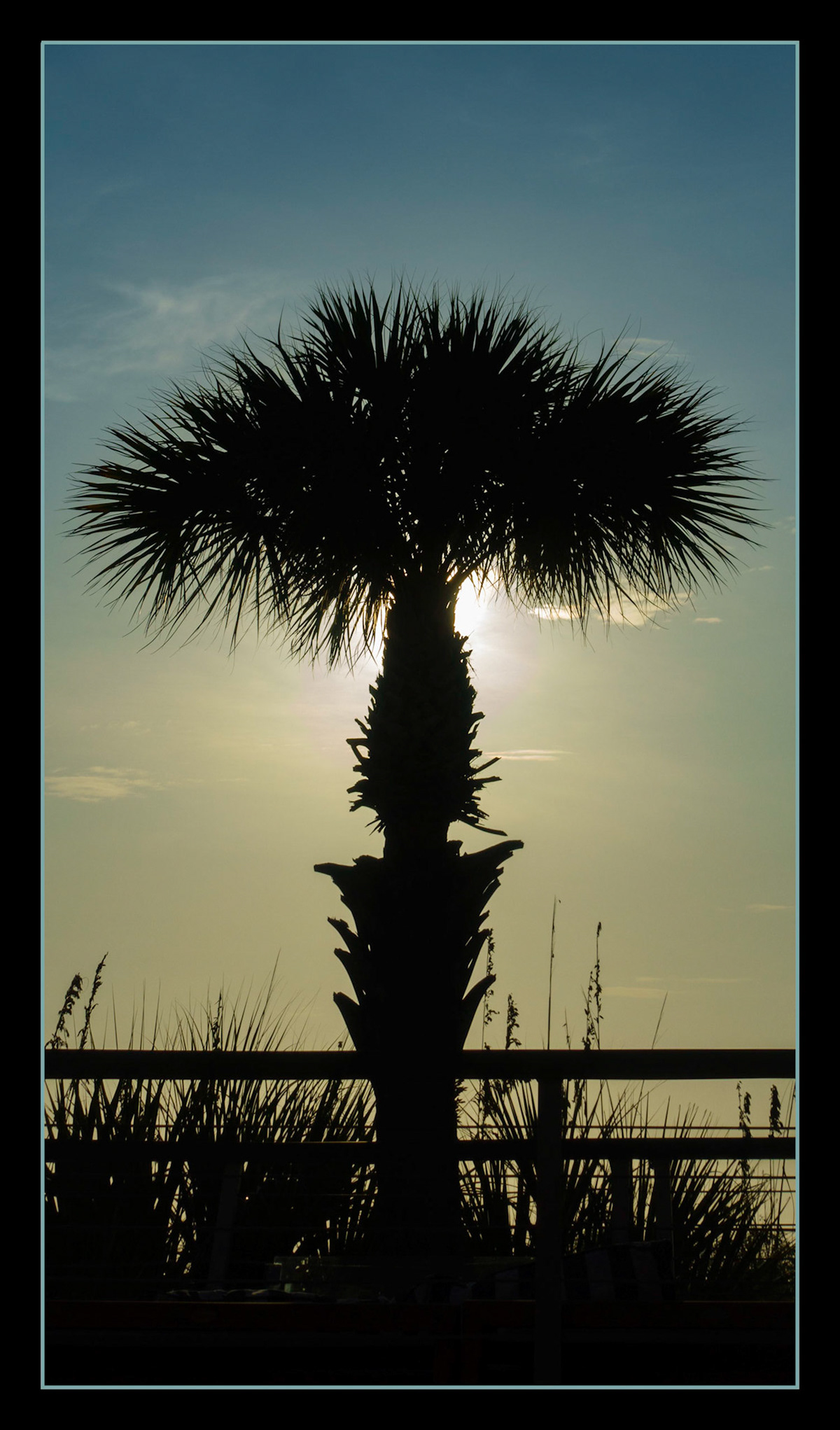 Glowing Palm
