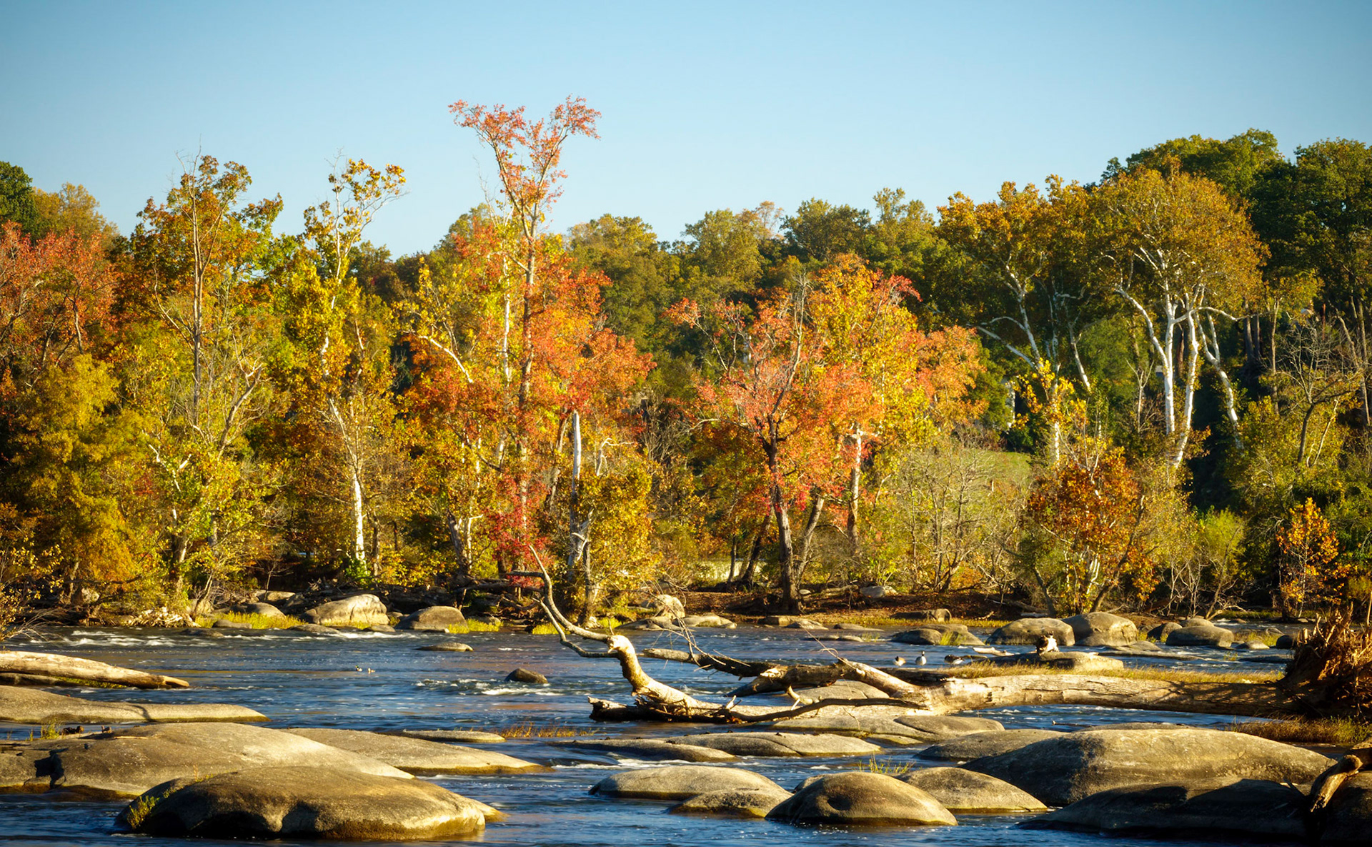 Pony Pasture Fall