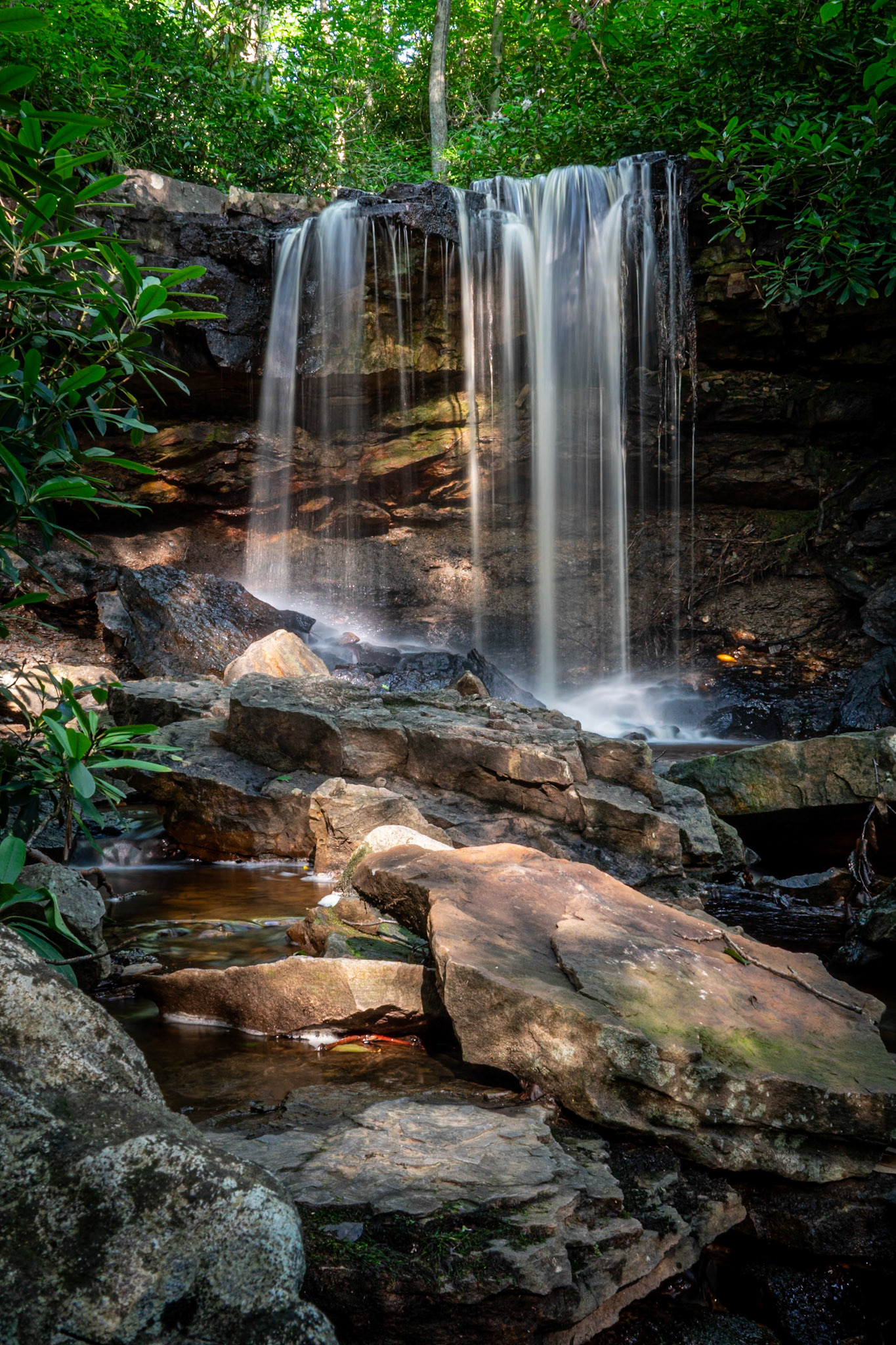 Cole Run Falls, Forbes State Forest PA