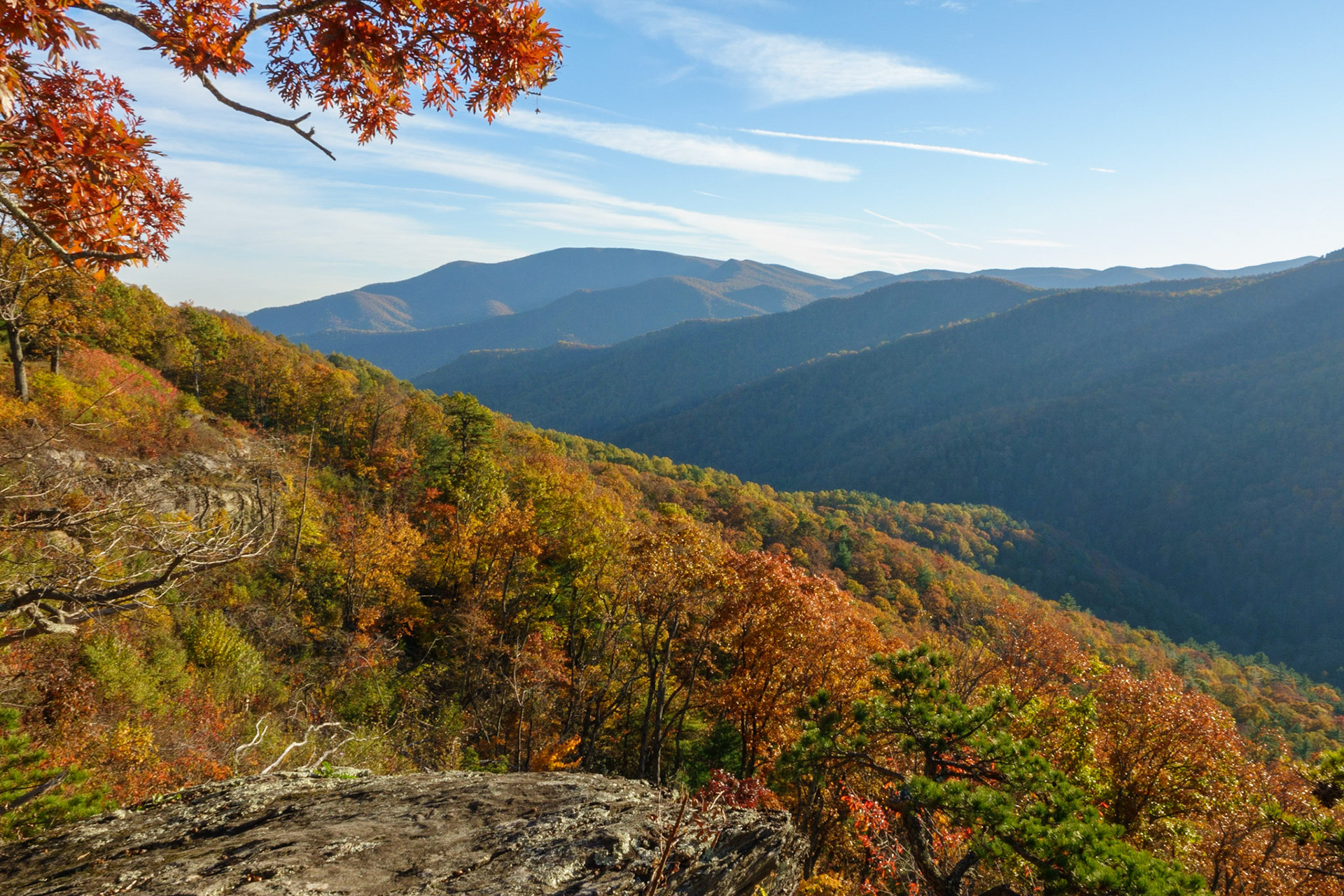 Red Autumn in the Blue Ridges