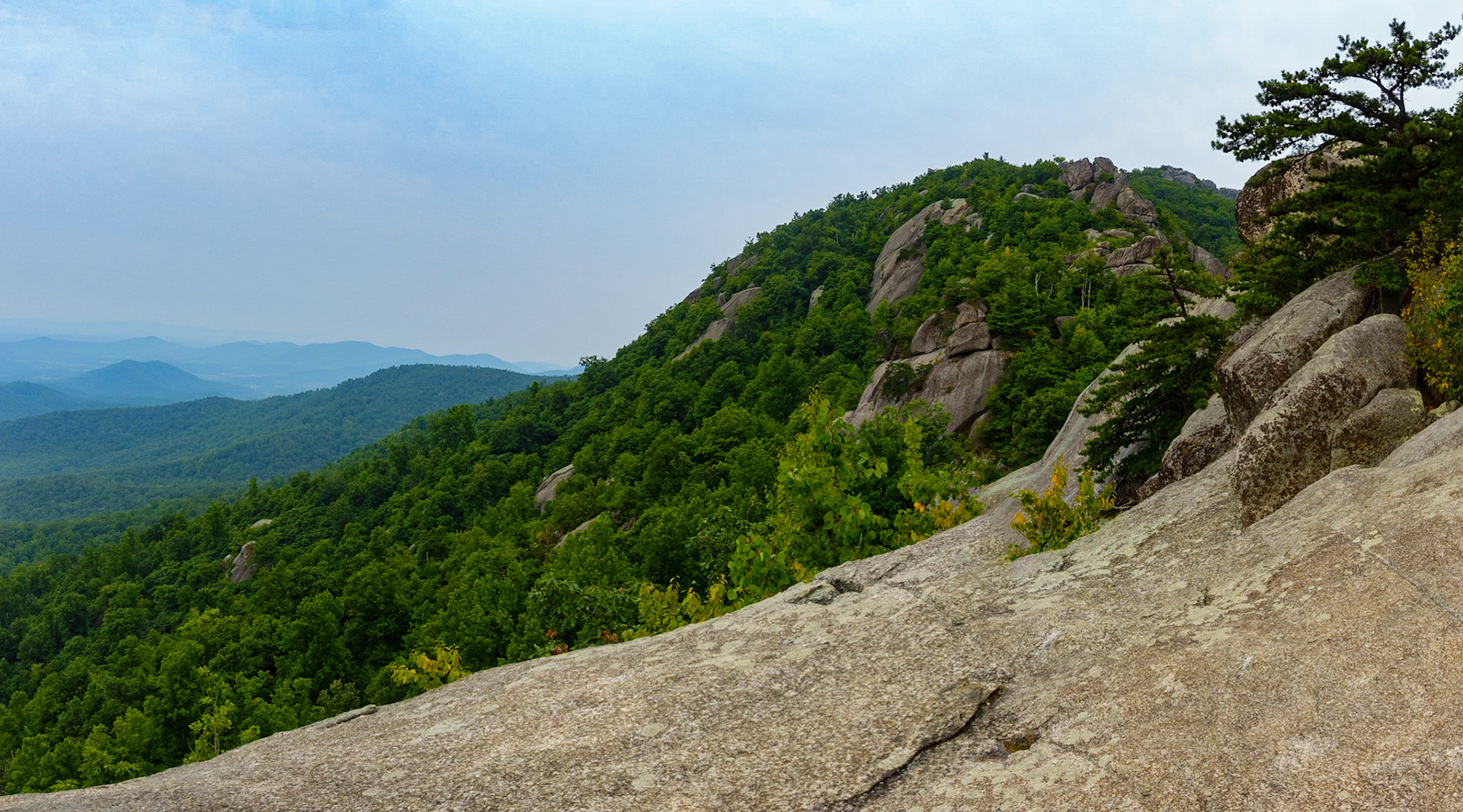Old Rag Mile 2.5 Easterly Vista