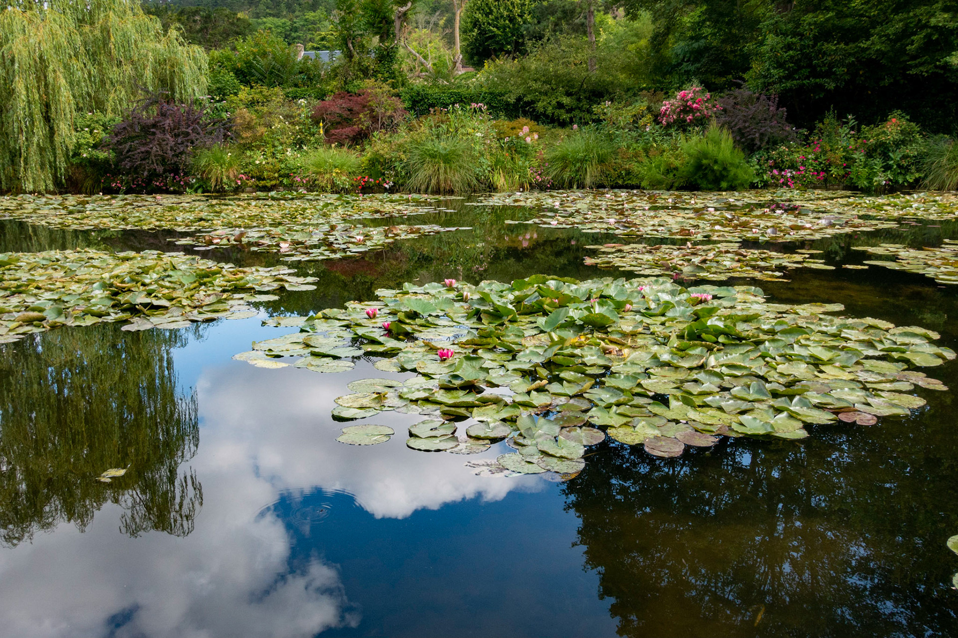 Monet's Waterlily Sky, Giverny