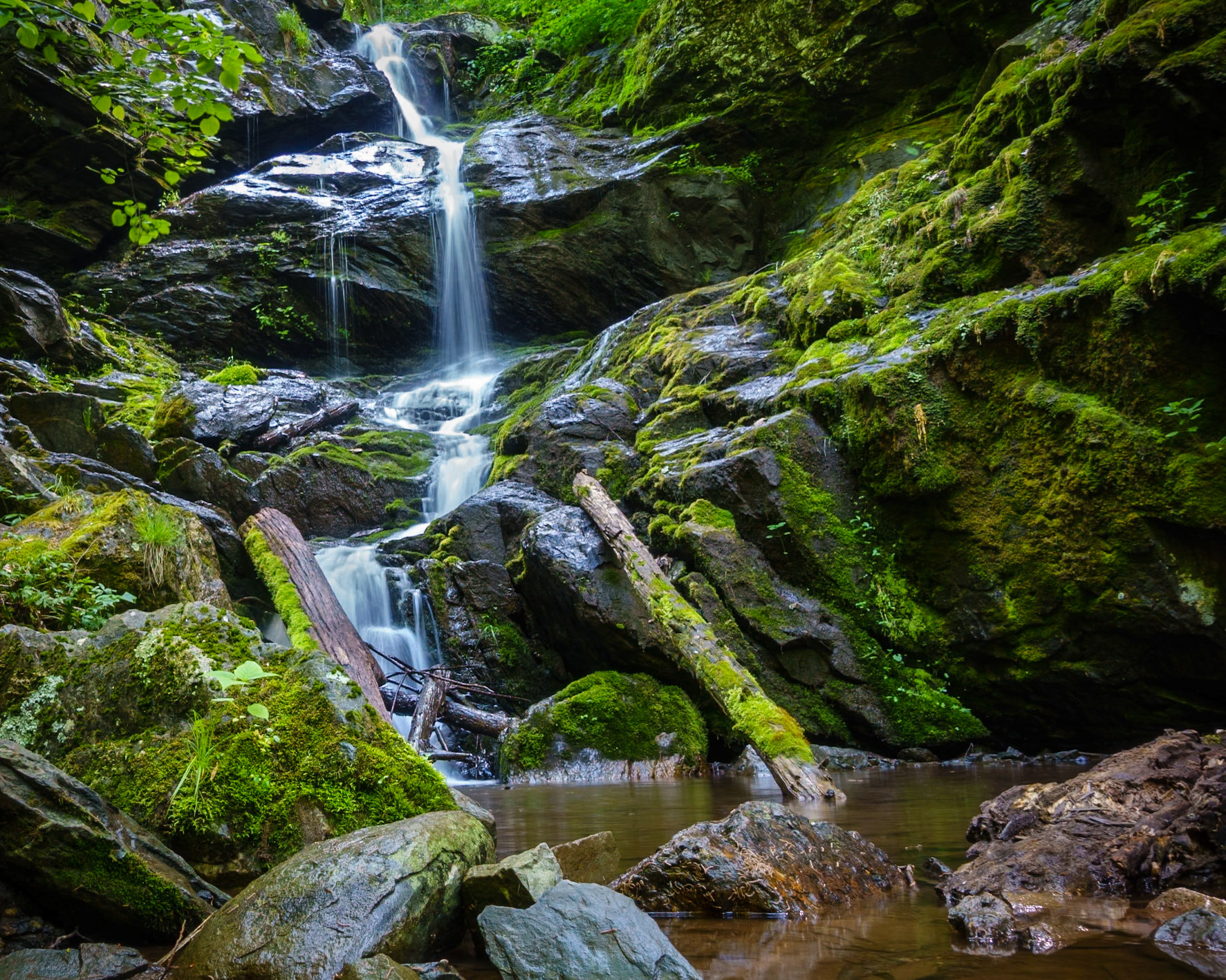 Lower Doyle's River Falls, Shenandoah NP “Rocks and waters, etc., are words of God, and so are men. We all flow from one fountain Soul. All are expressions of one Love.”