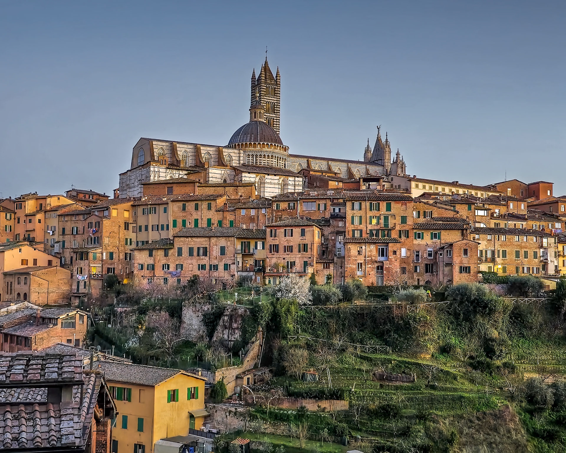 Golden View of Siena