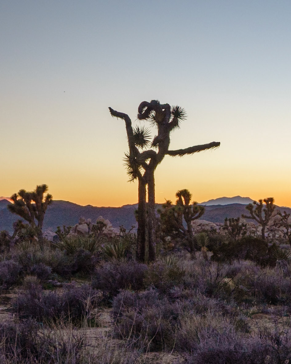 The Exit is That Way...