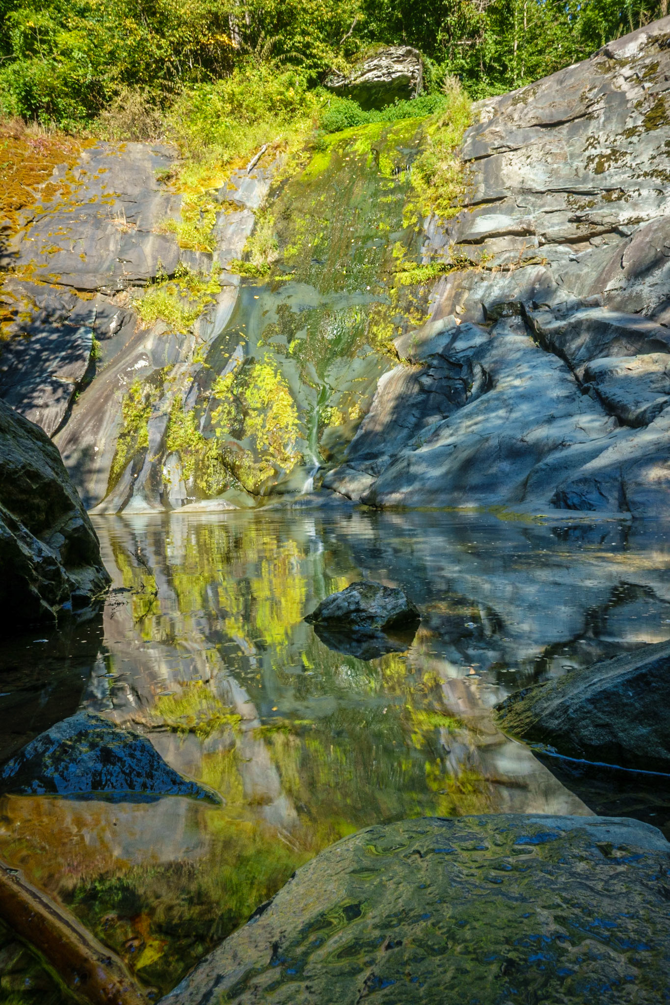 Moormans River/Big Branch Falls