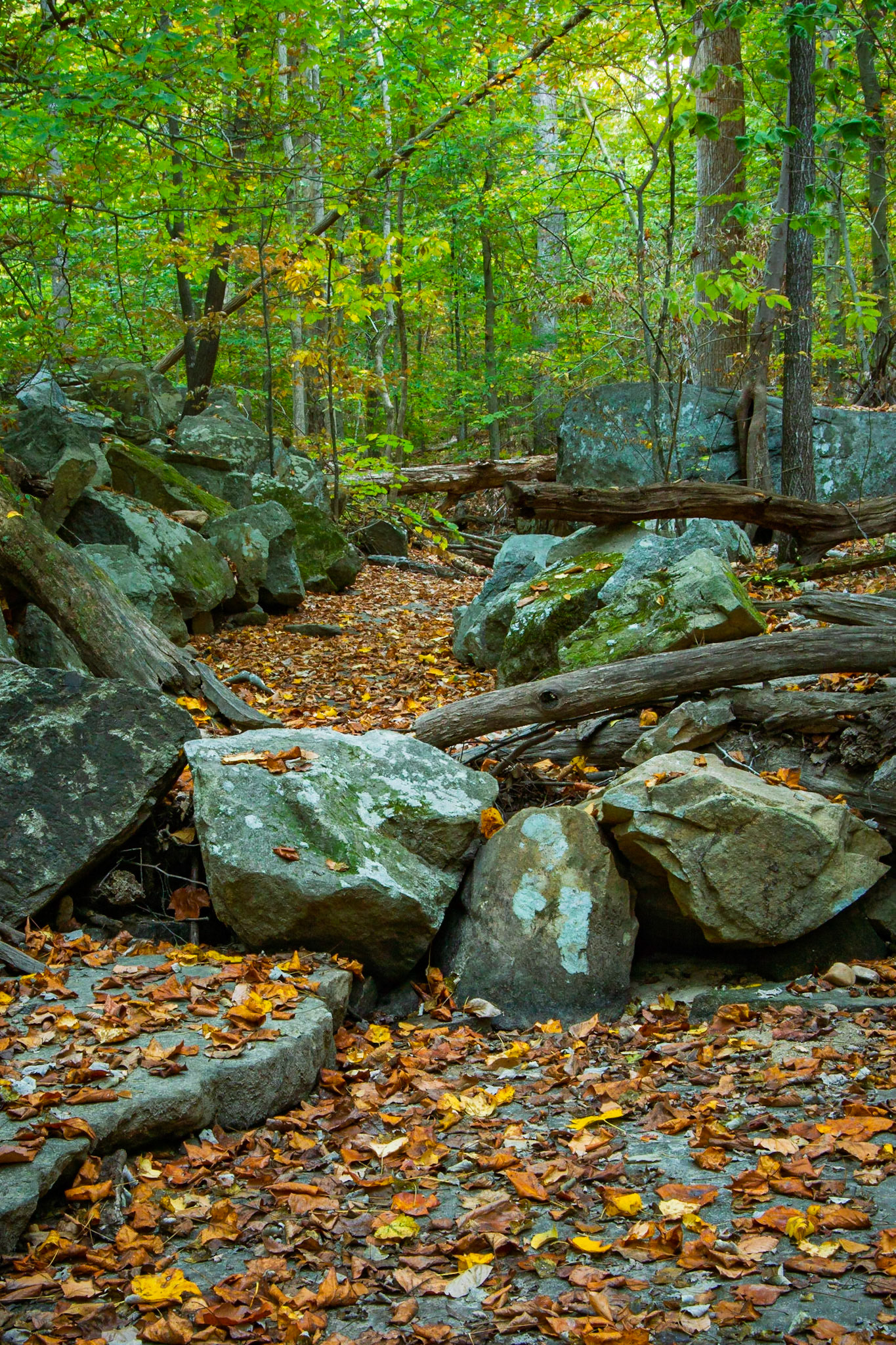 Dry Creek