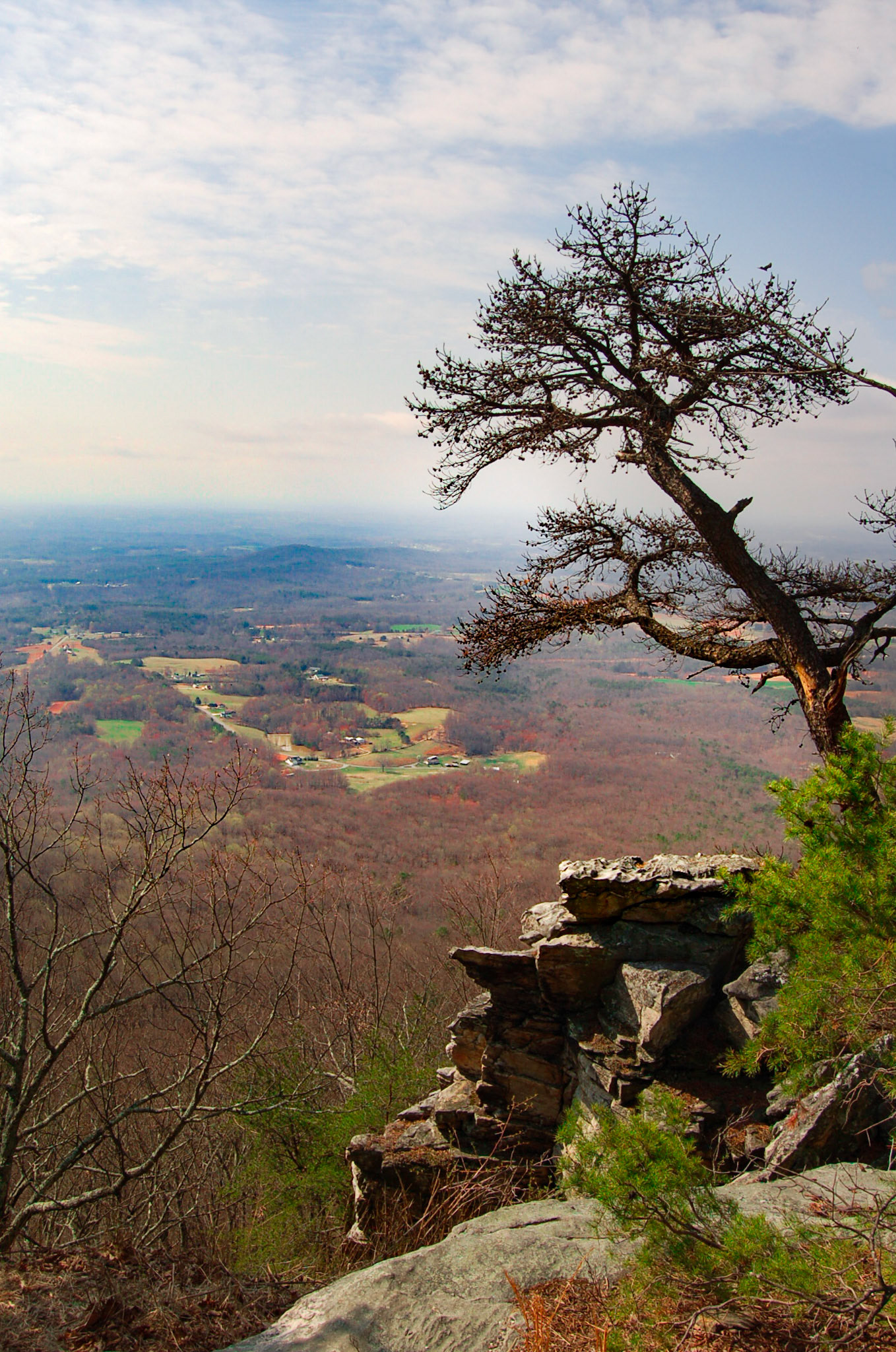 View from Pilot Mountain