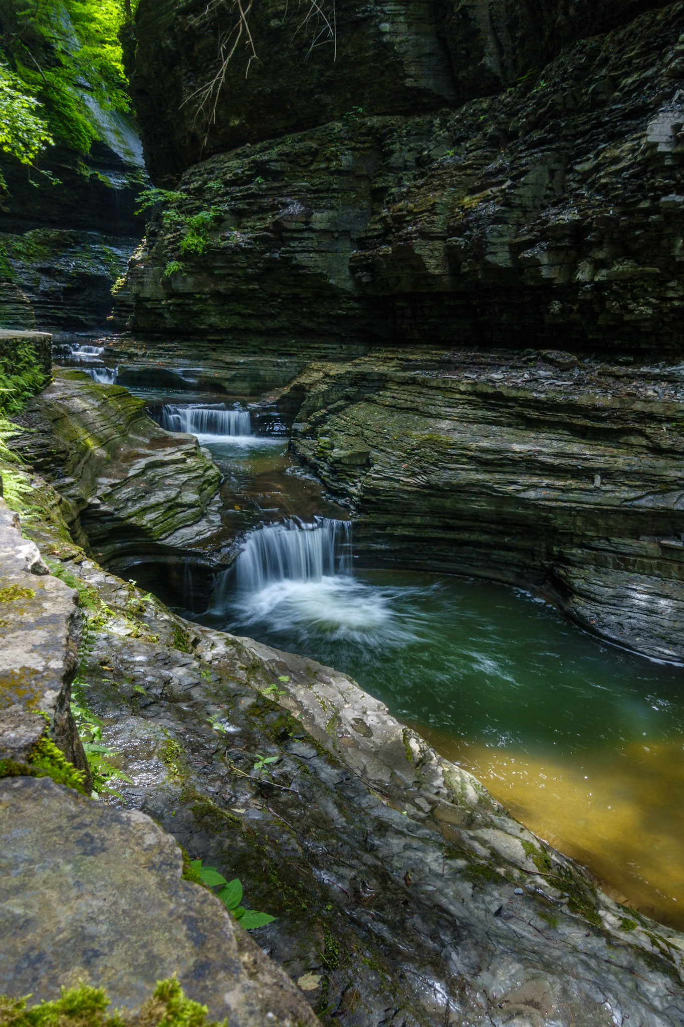 And still more Watkins Glen
