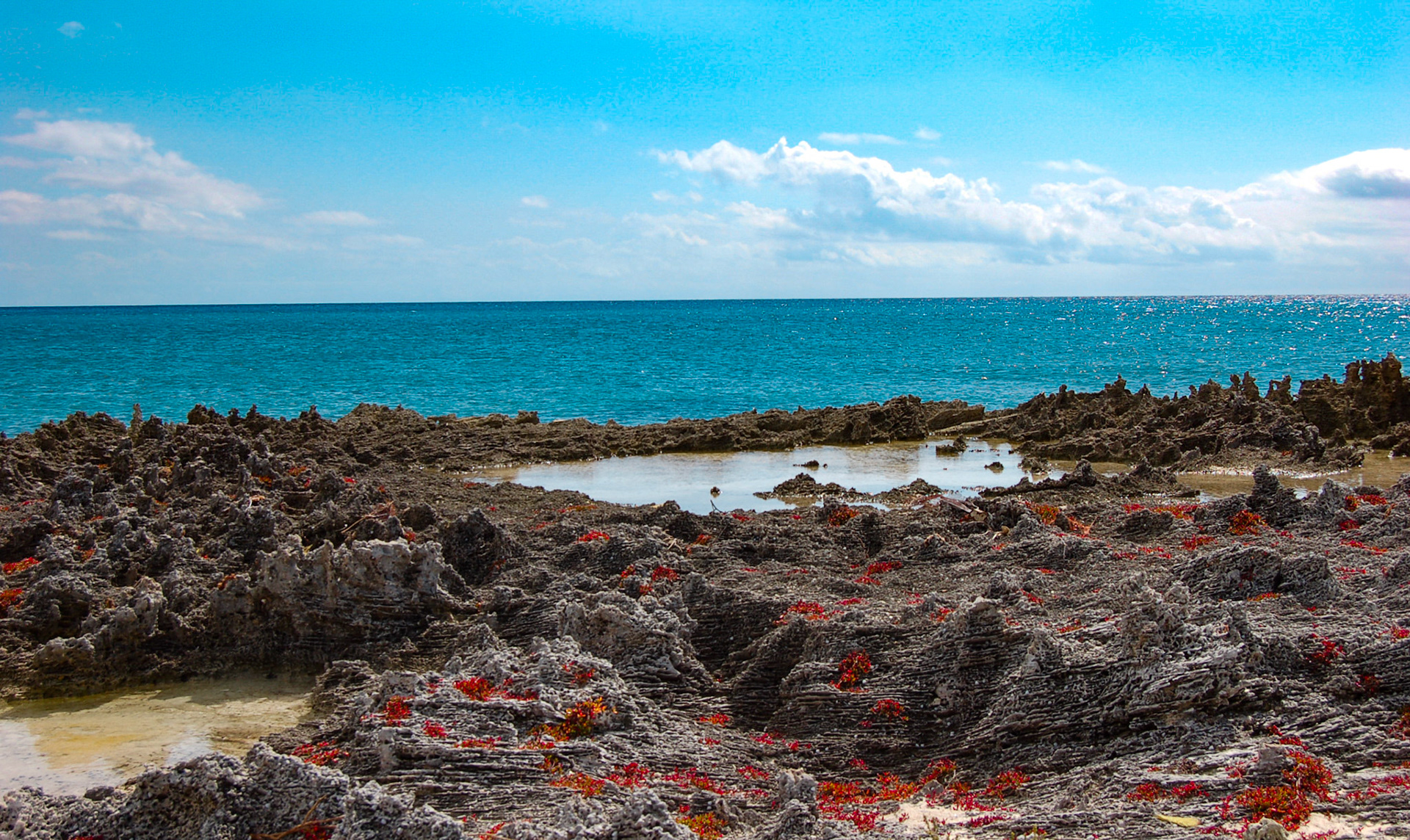 Peterson Cay, Bahamas 2010