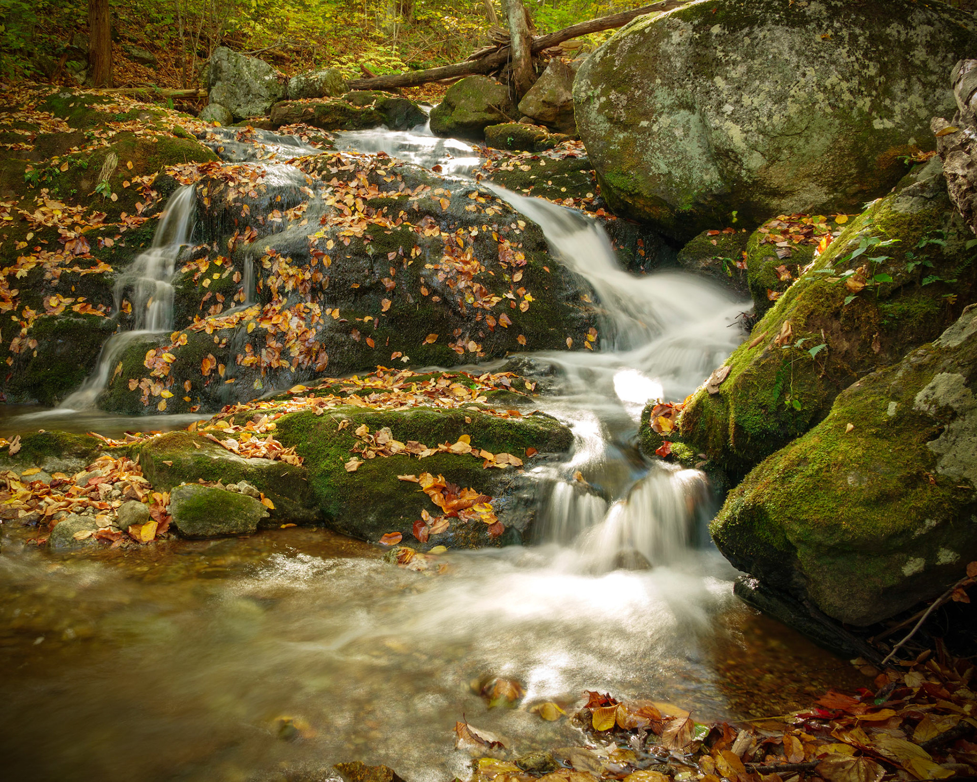 Shimmering Cascade