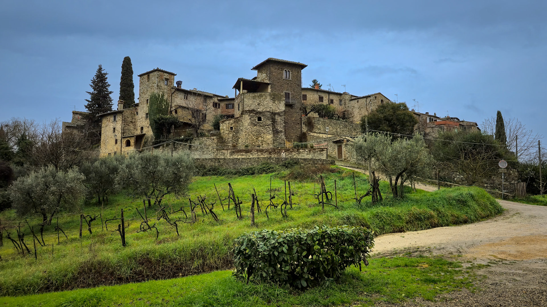 Medieval and Modern Village