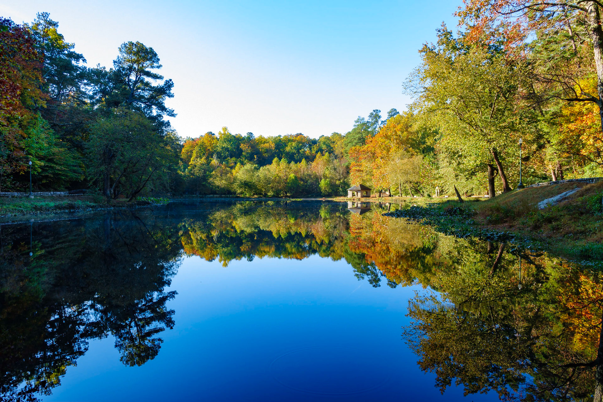 Autumn in Forest Hill Park