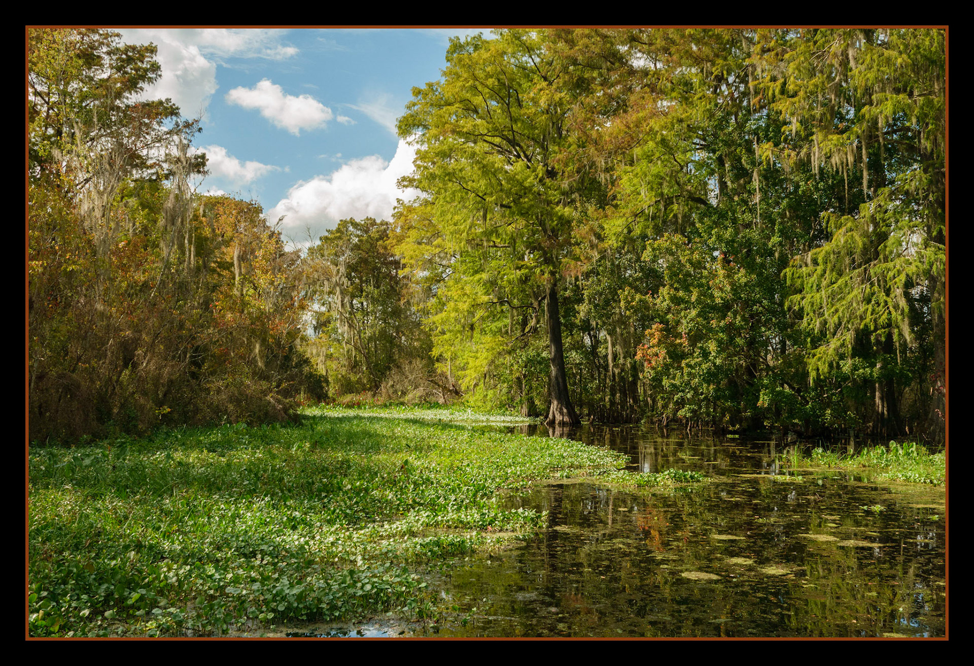 Beauty in the Backwaters