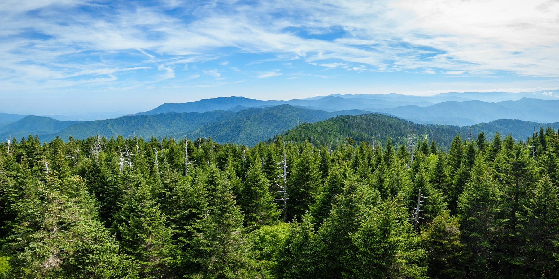 West View of Smokies from Clingman's Dome