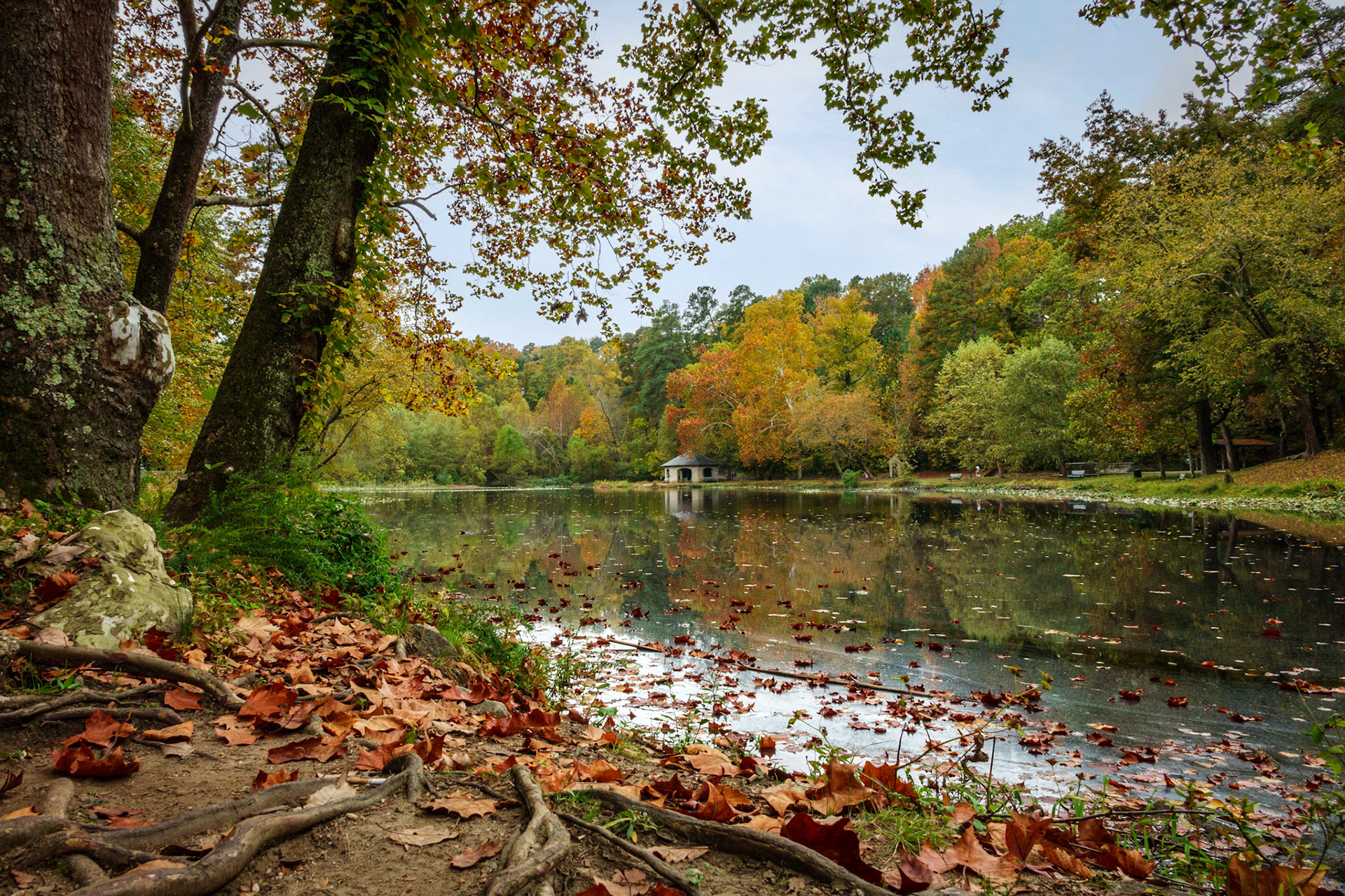 Littered Pond