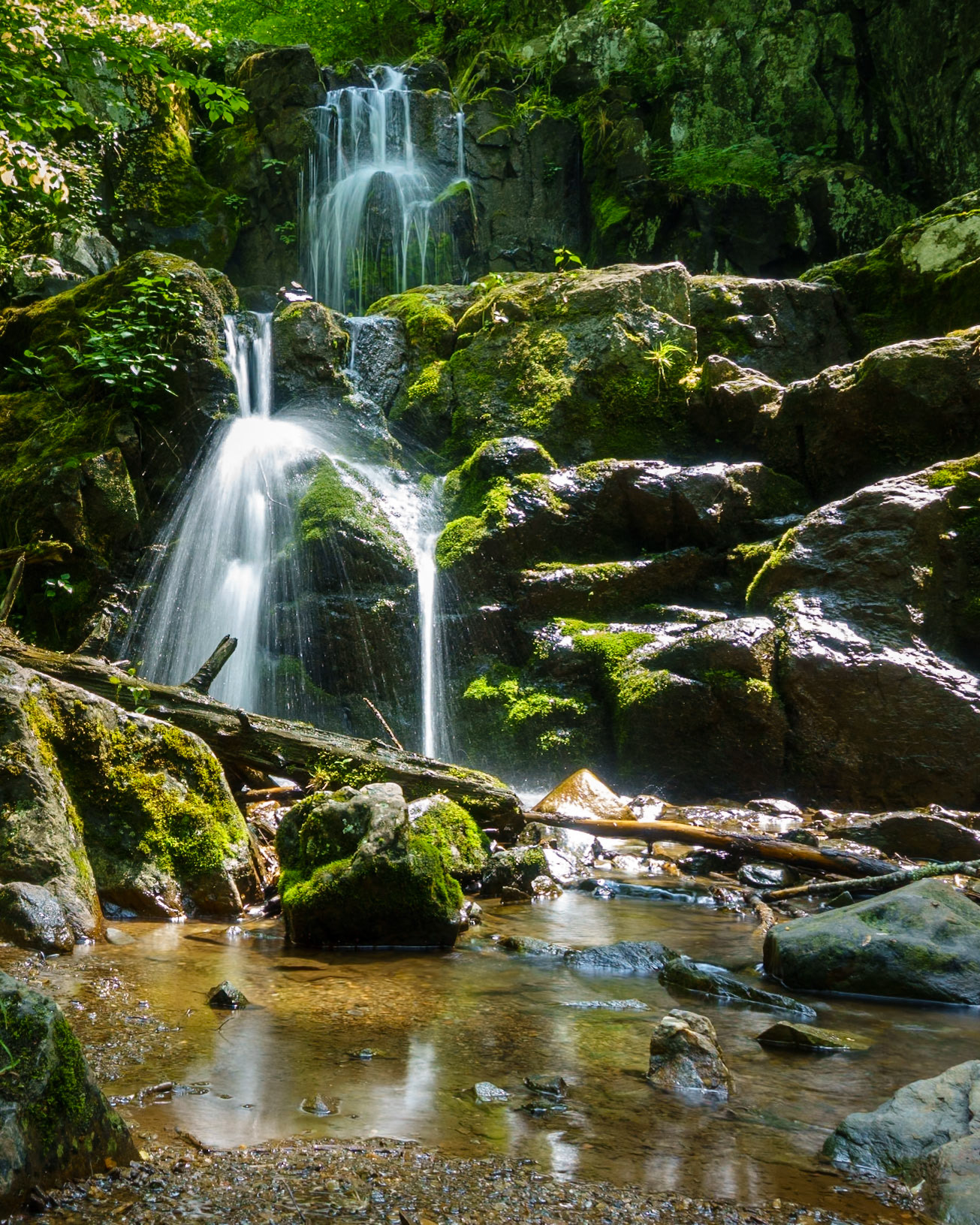 Upper Doyles River Falls