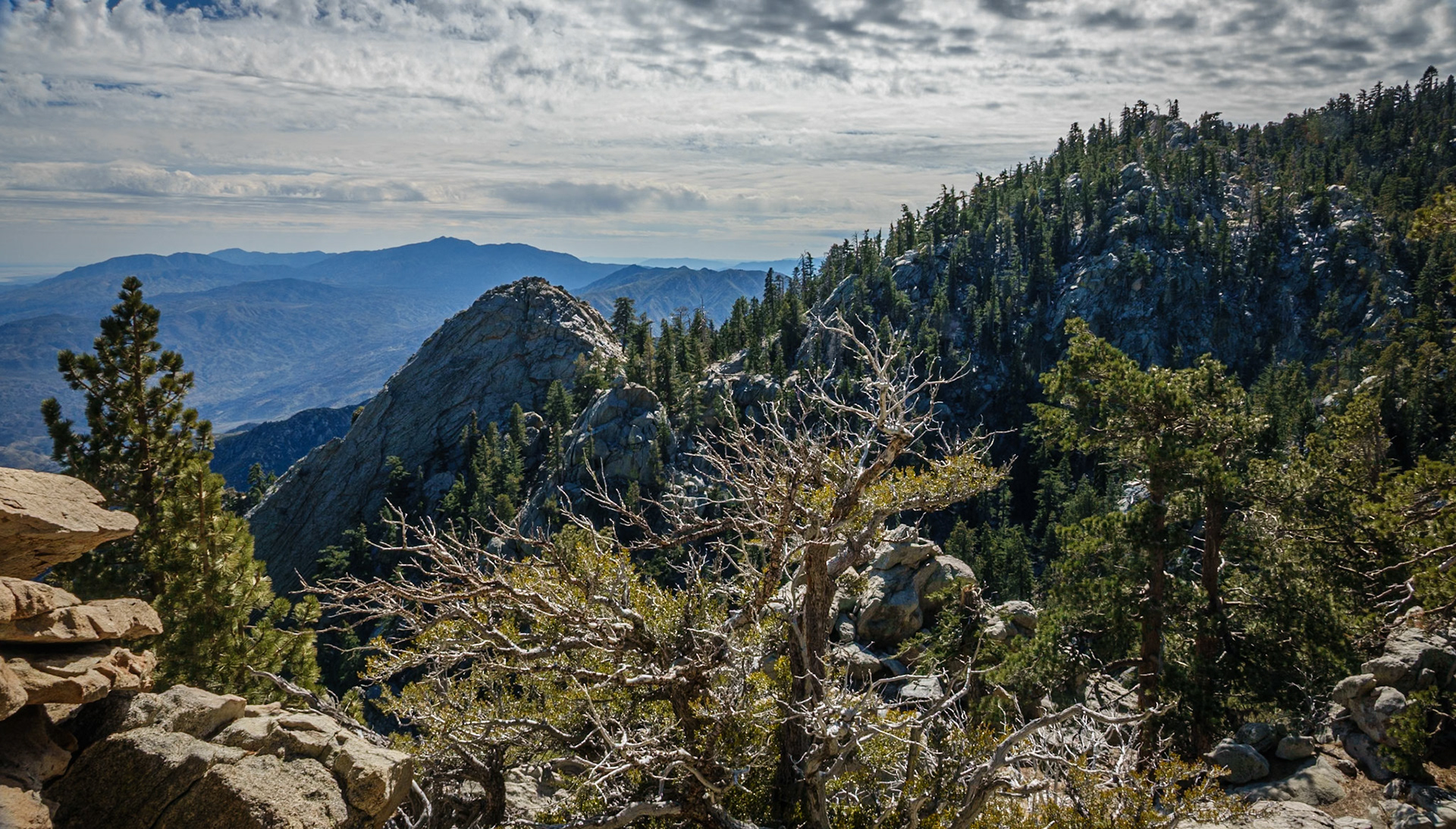 From the Top of Mt San Jacinto