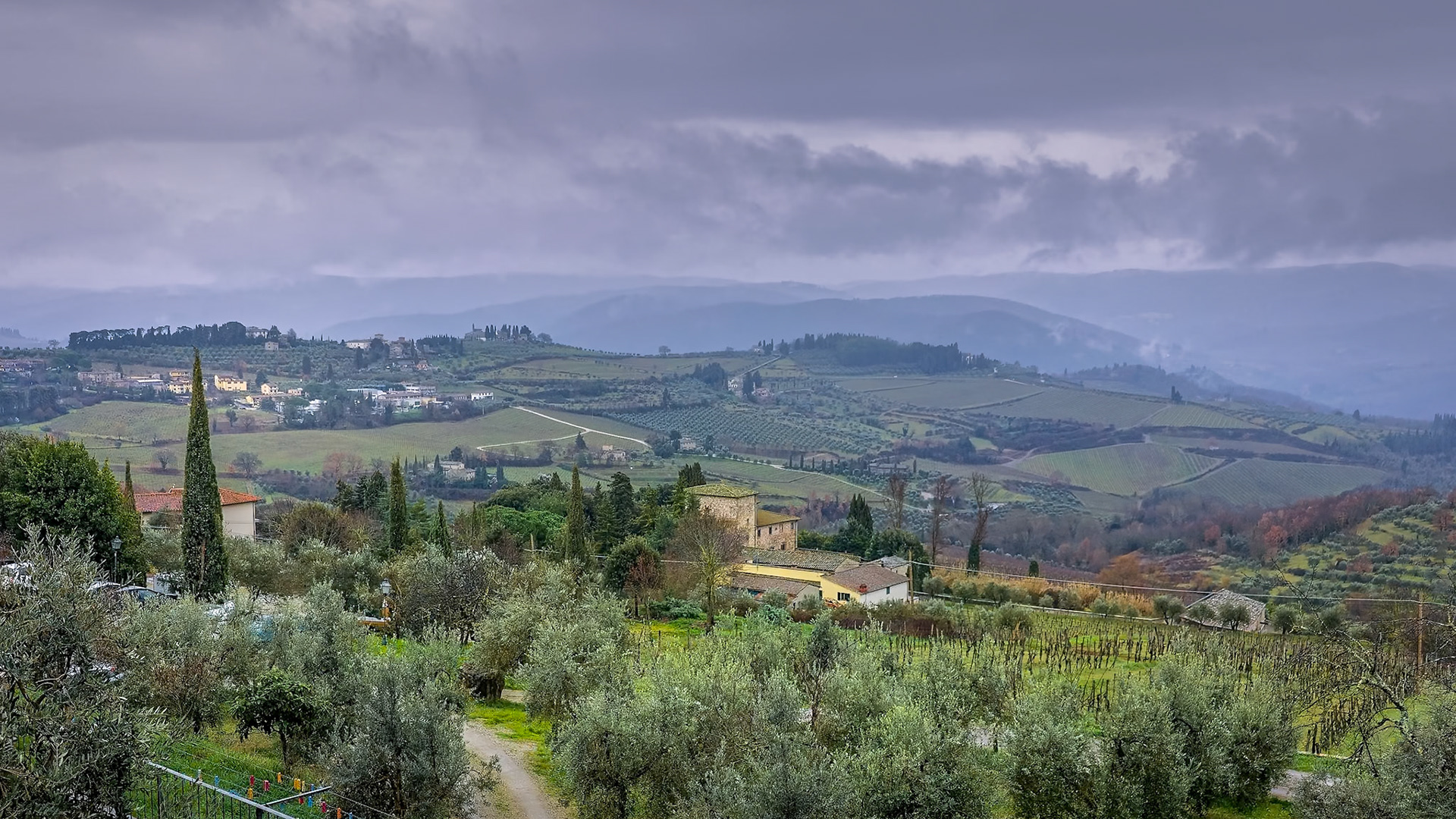 Winter Rain in the Hills