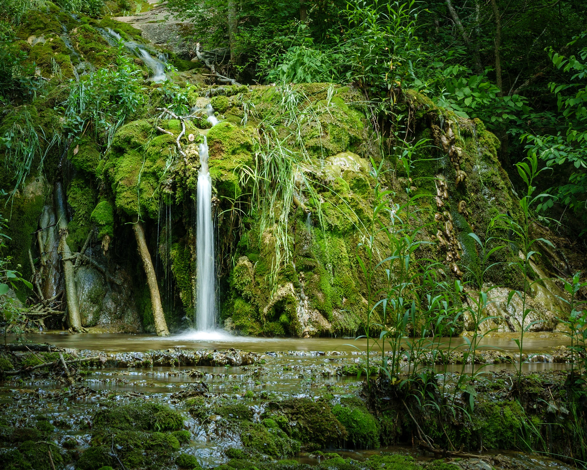 Cedar Creek