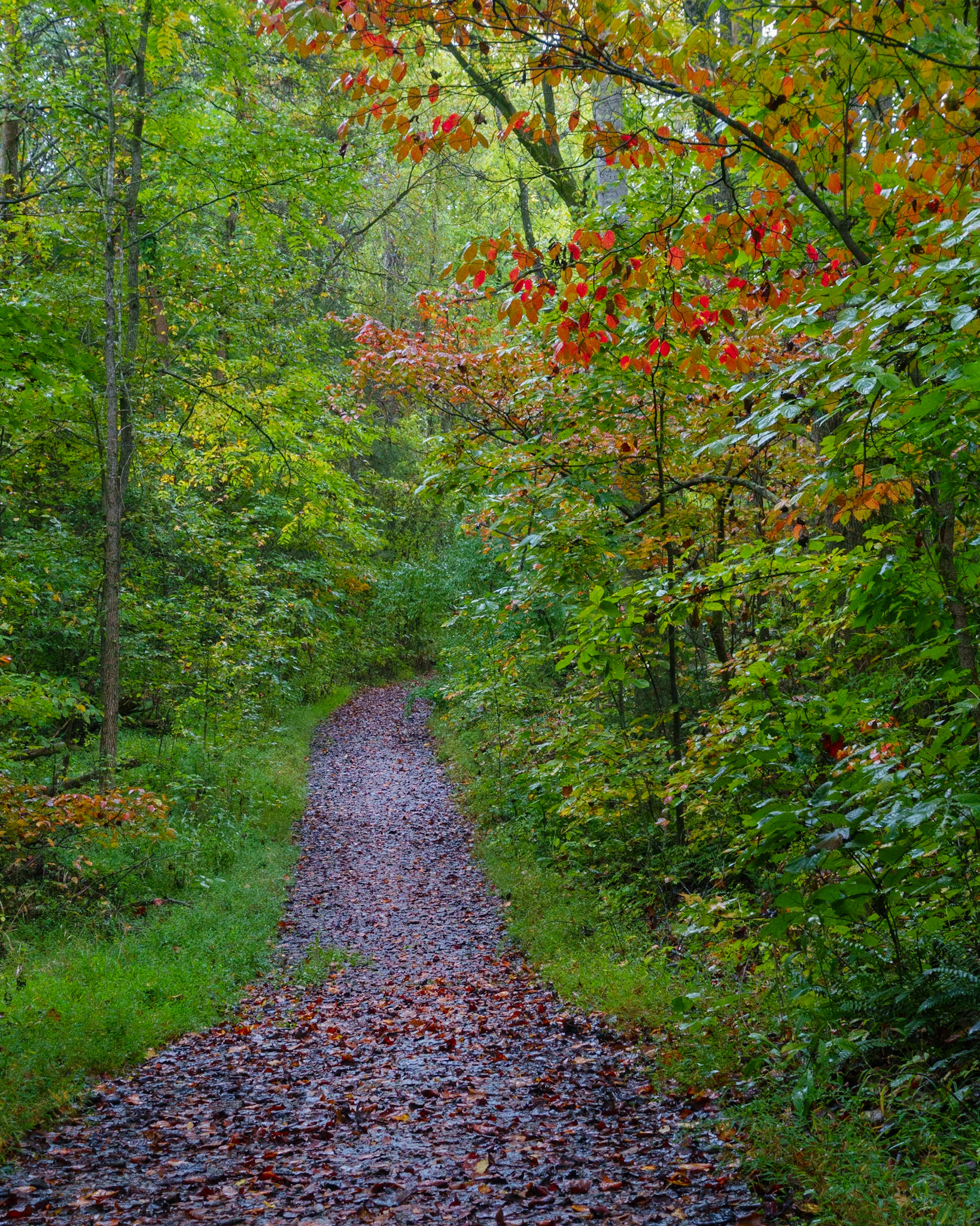 Autumn Awaits
