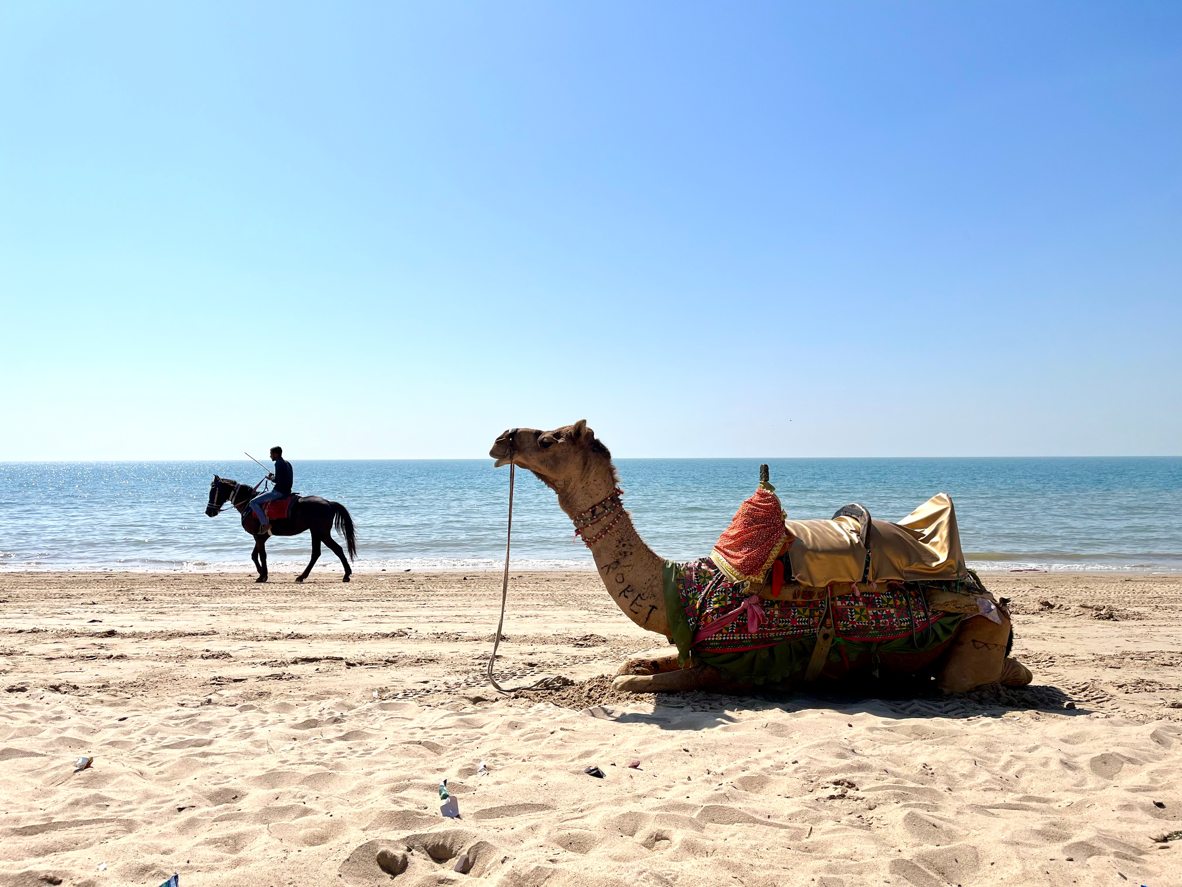Mandvi Beach