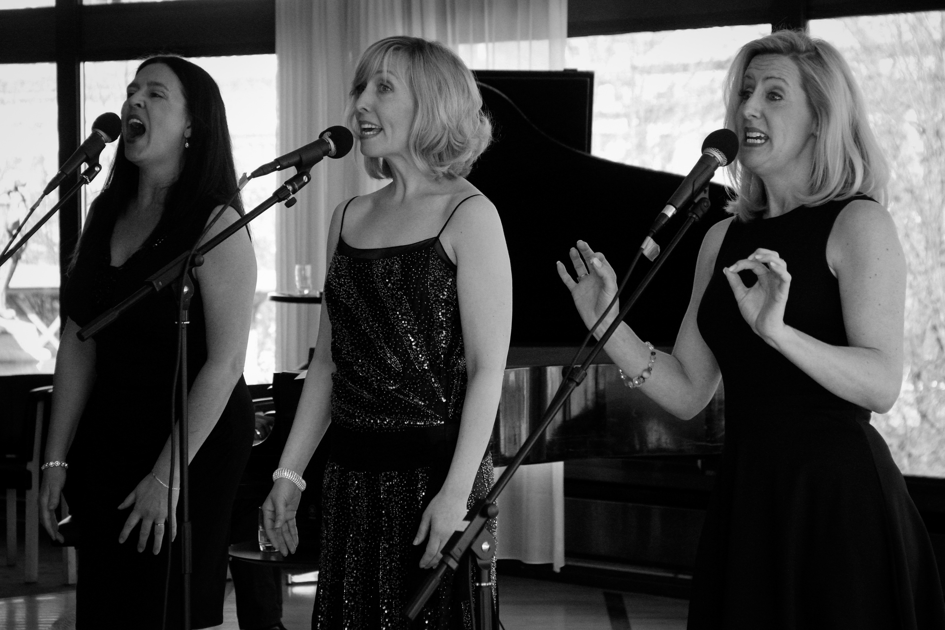 Gig at Operaterrassen