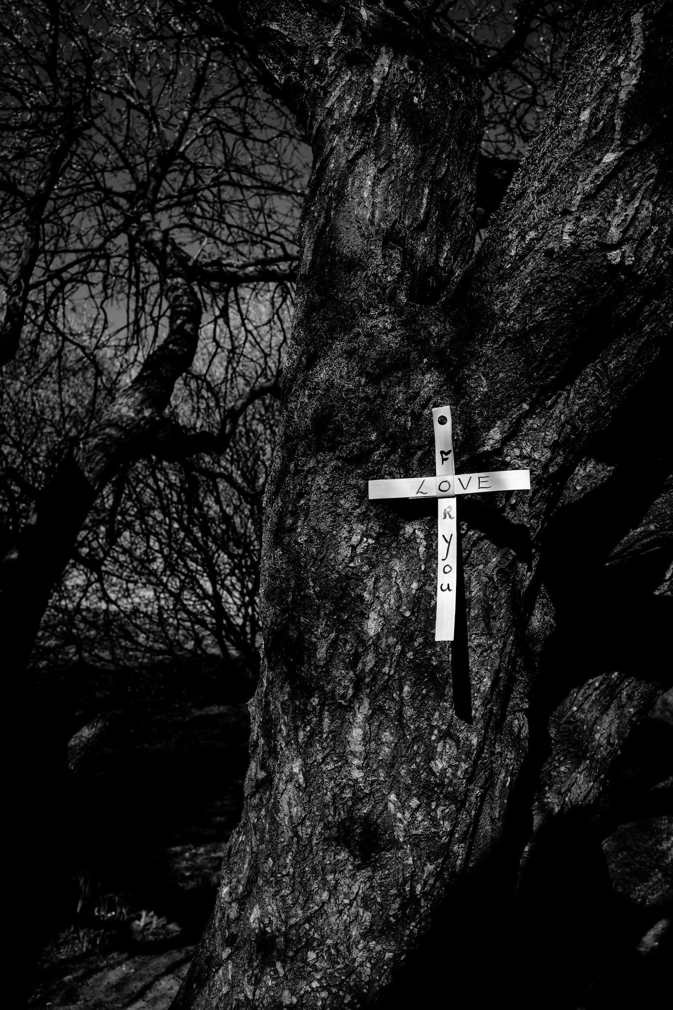 Cross Words