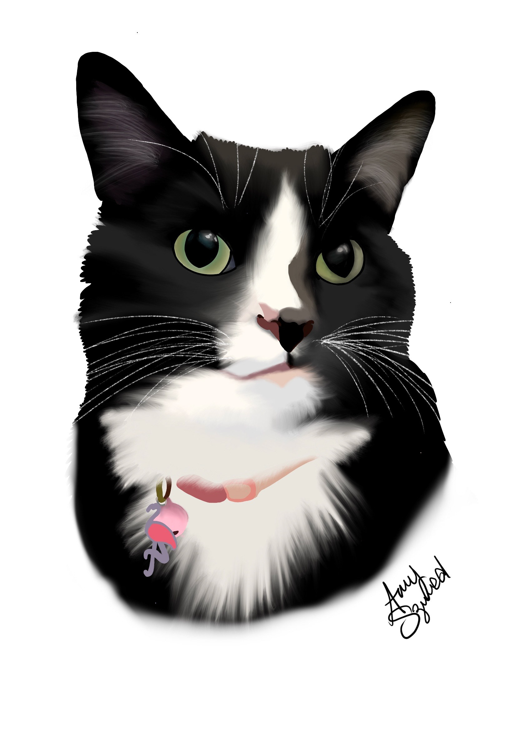 Digital Drawing