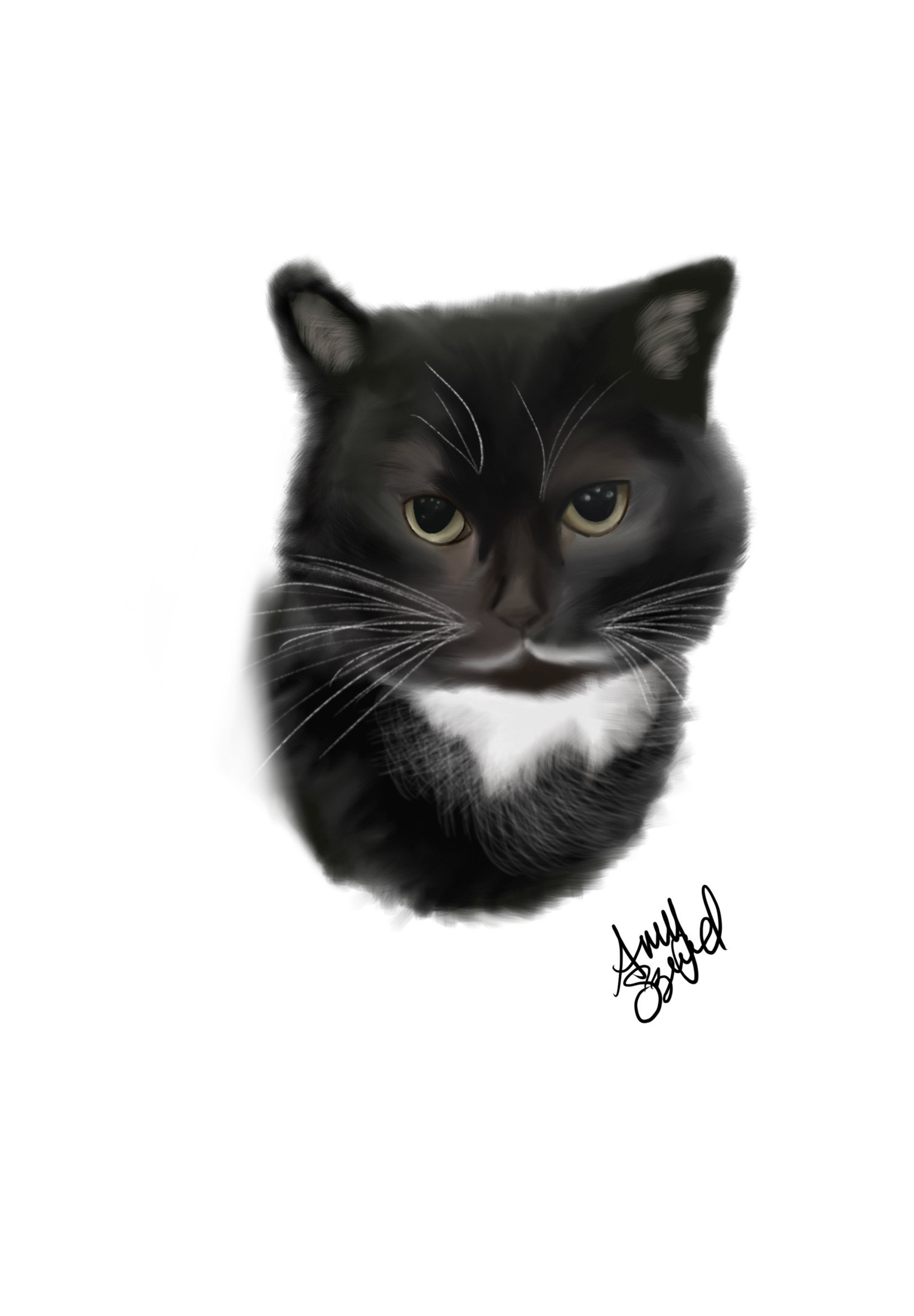Digital Drawing