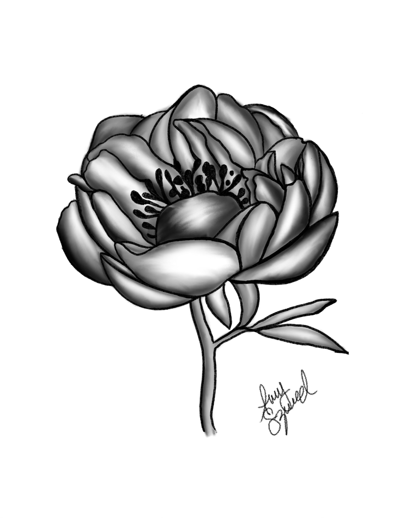 Digital Drawing